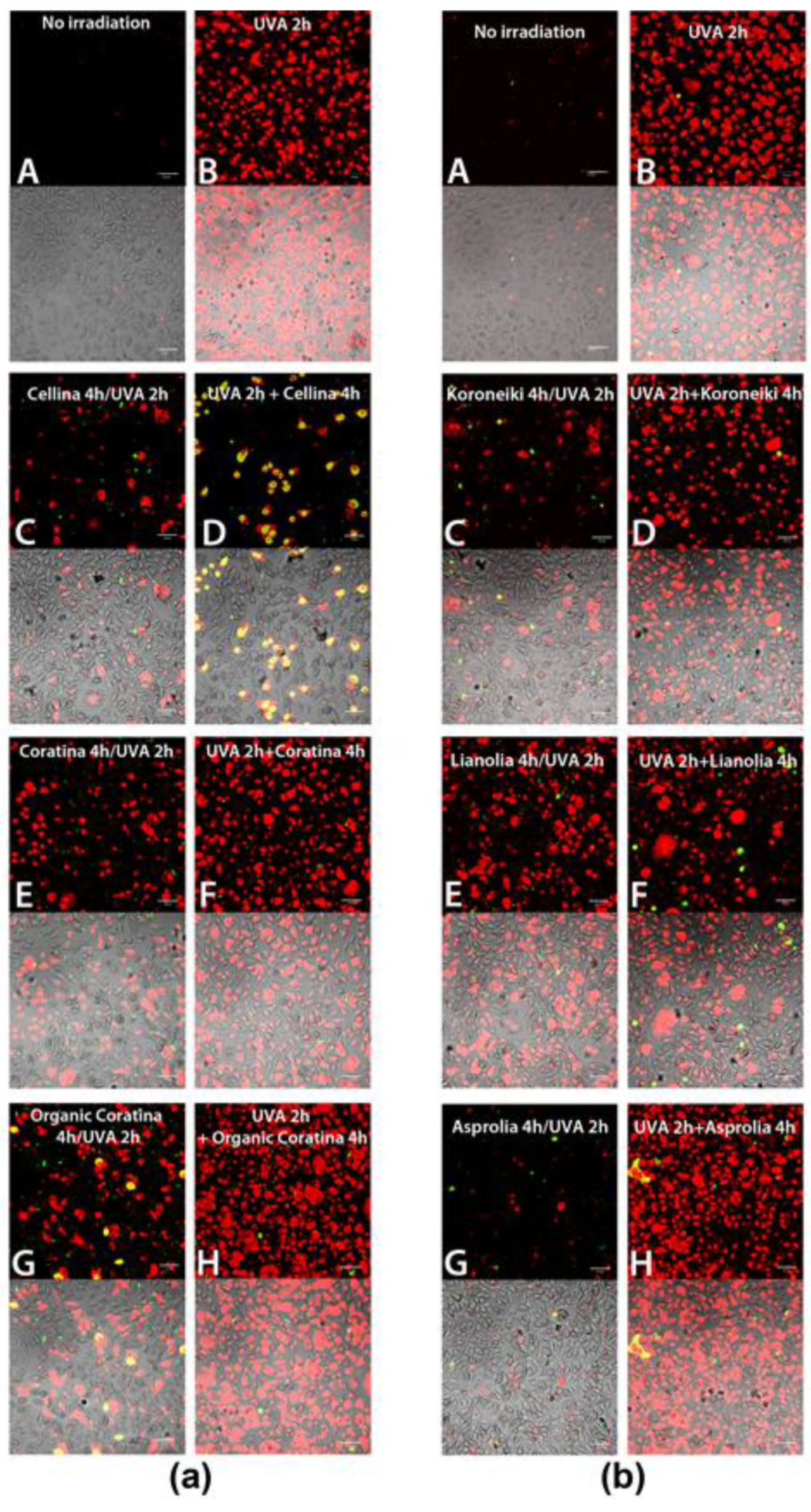 Molecules 26 02153 g006