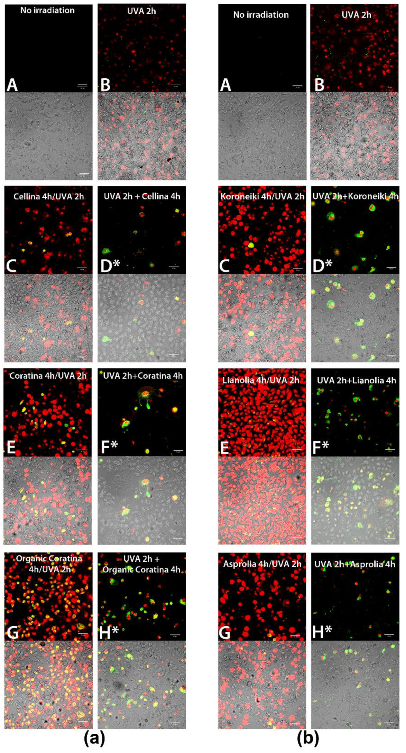 Molecules 26 02153 g007