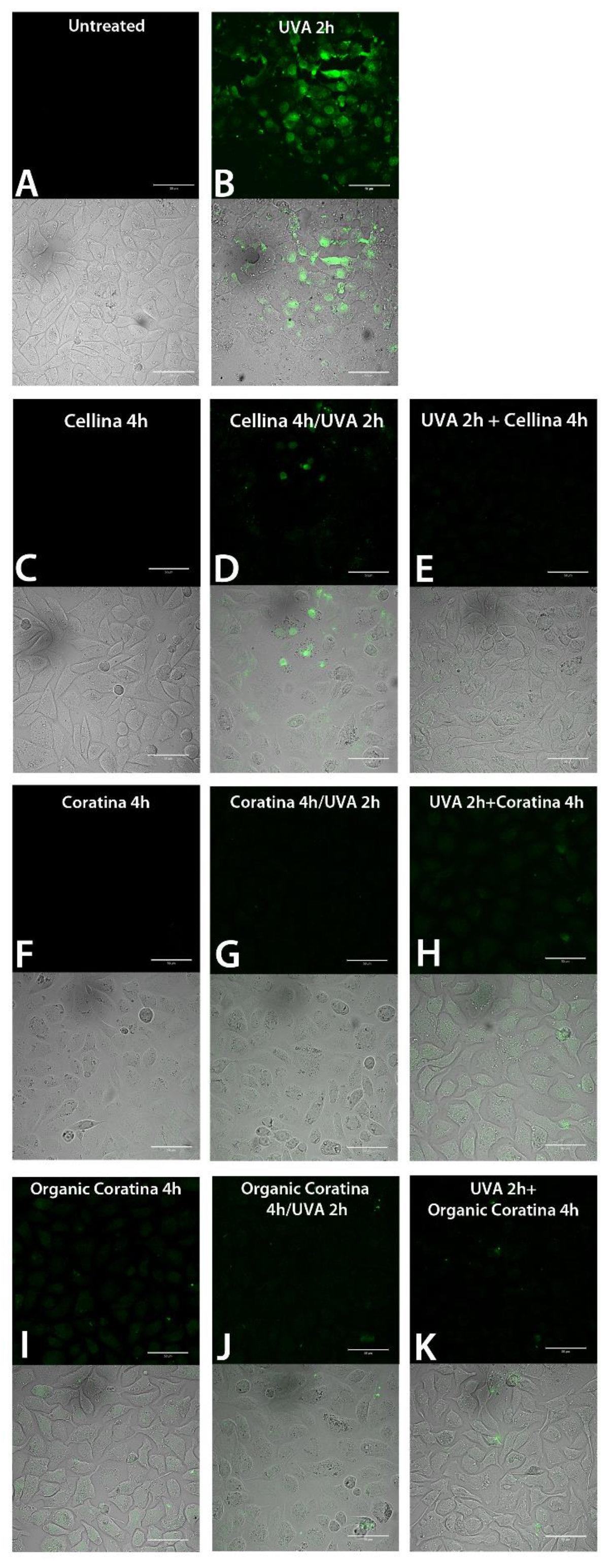 Molecules 26 02153 g008