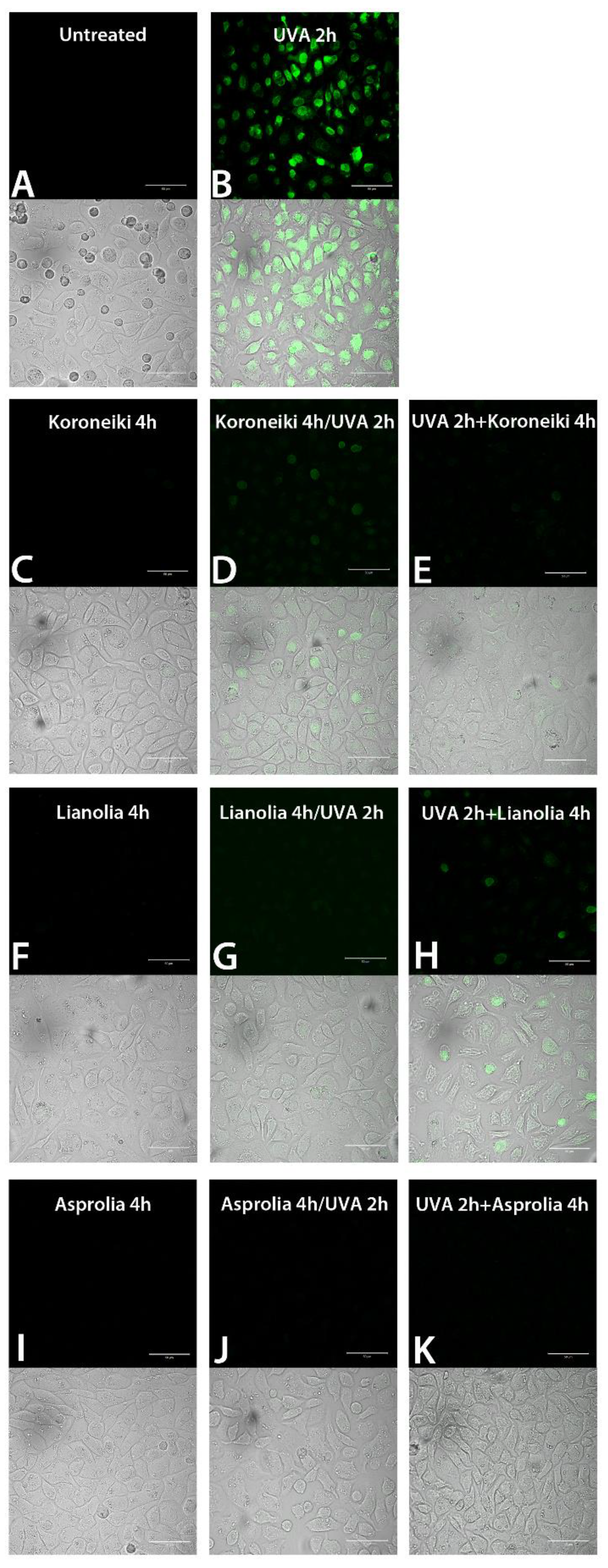 Molecules 26 02153 g009