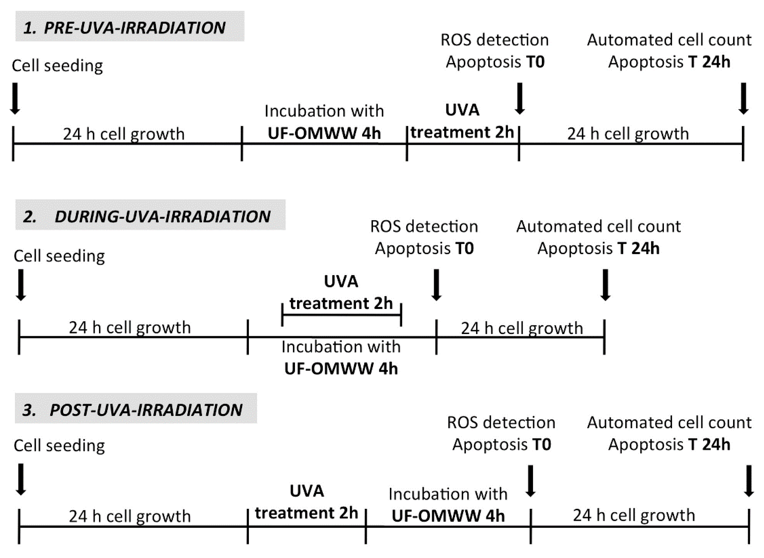 Molecules 26 02153 sch001