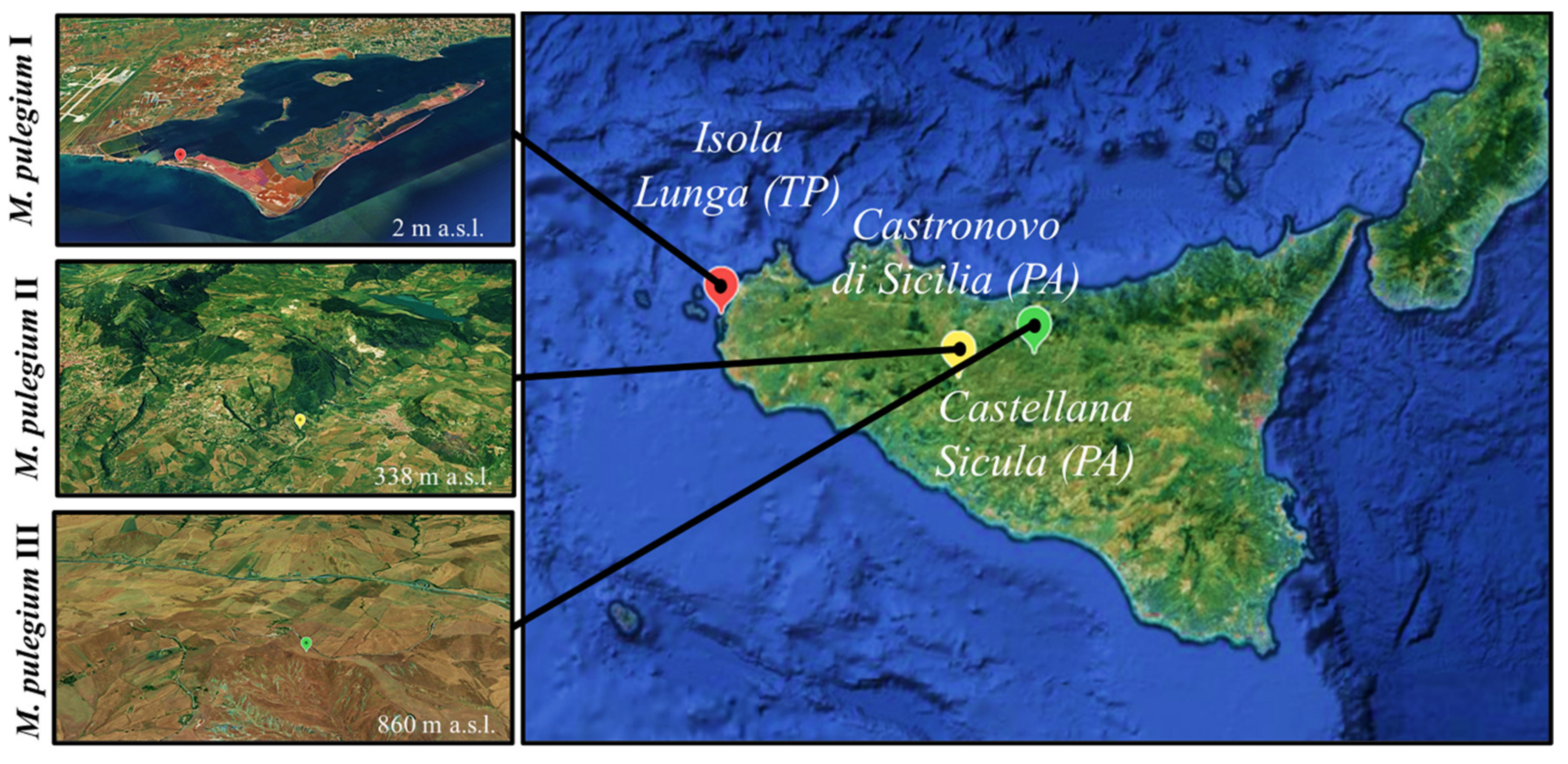 Molecules 26 02154 g001