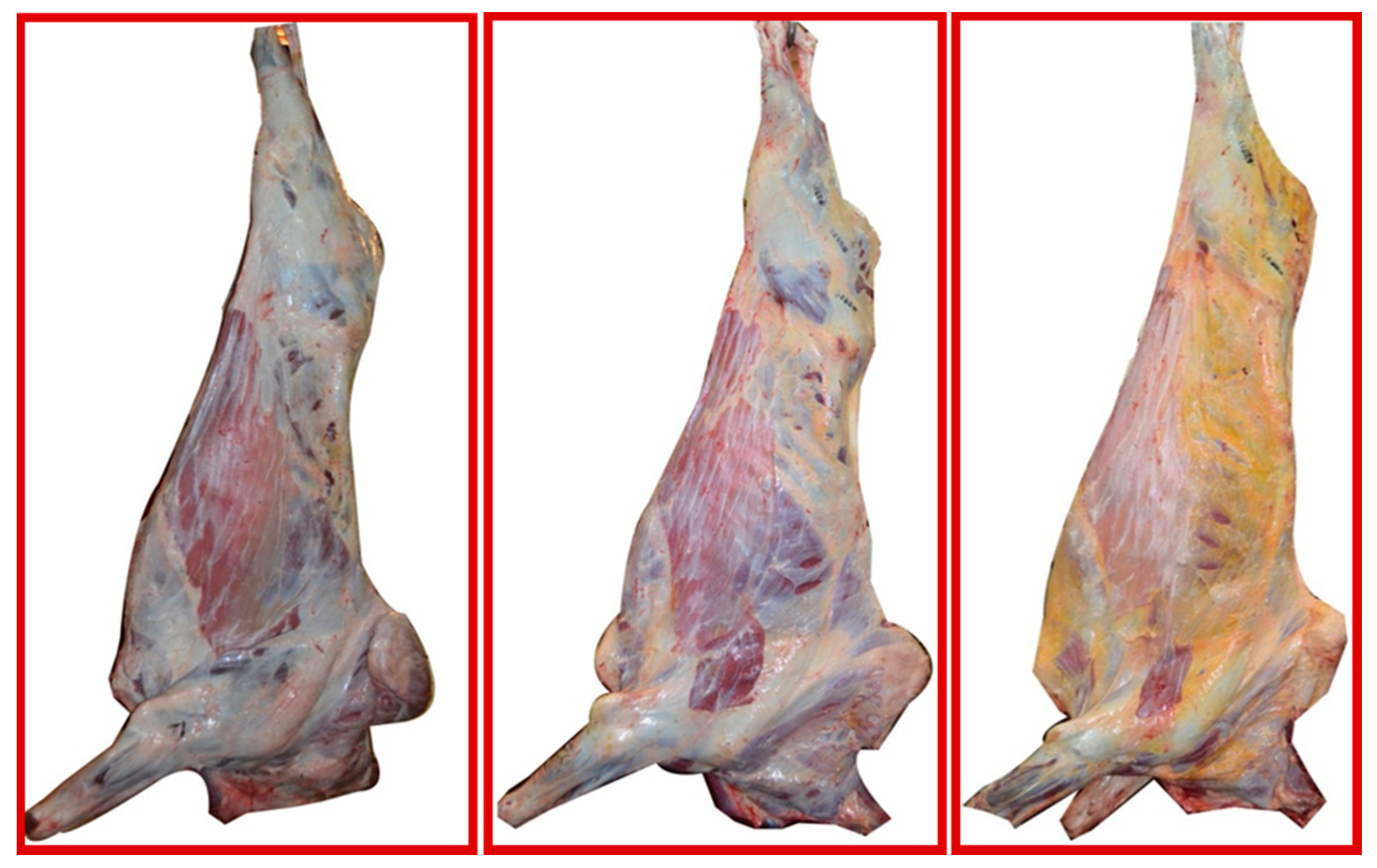 Molecules 26 02155 g003 Molecules 26 02155 g003