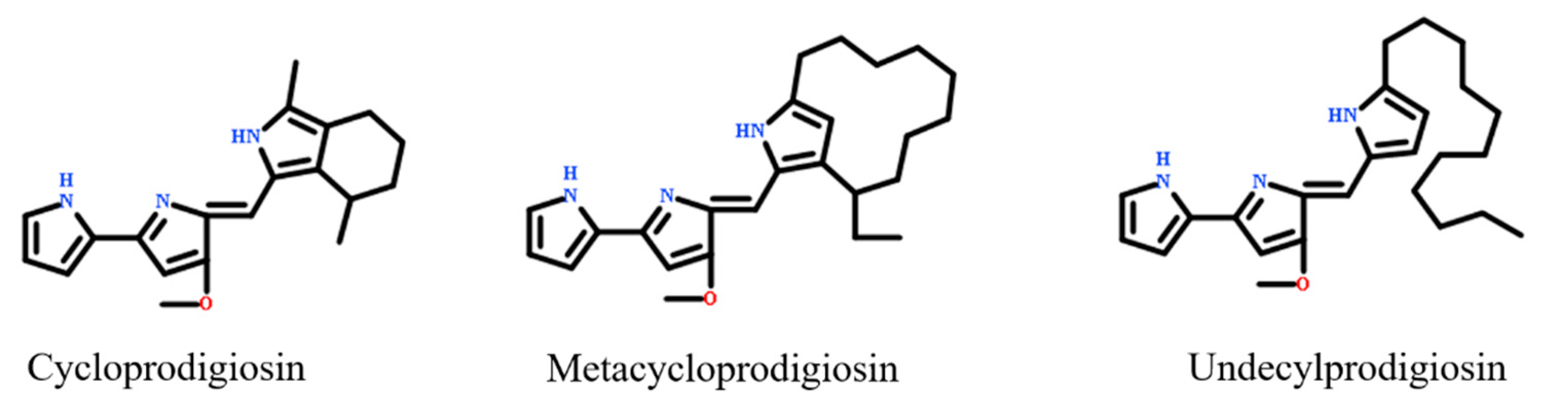 Molecules 26 02156 g001 Molecules 26 02156 g001