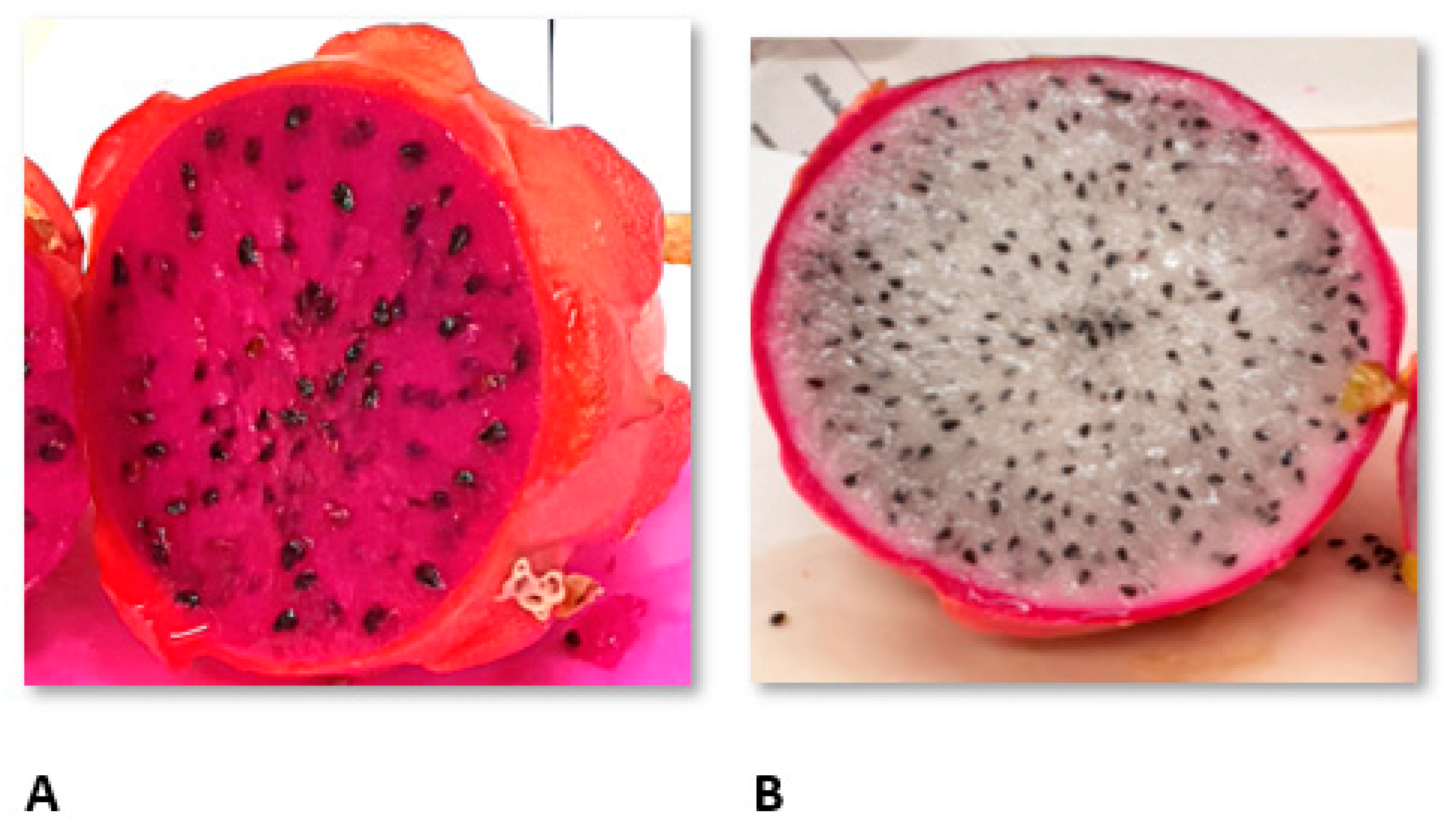 Molecules 26 02158 g004