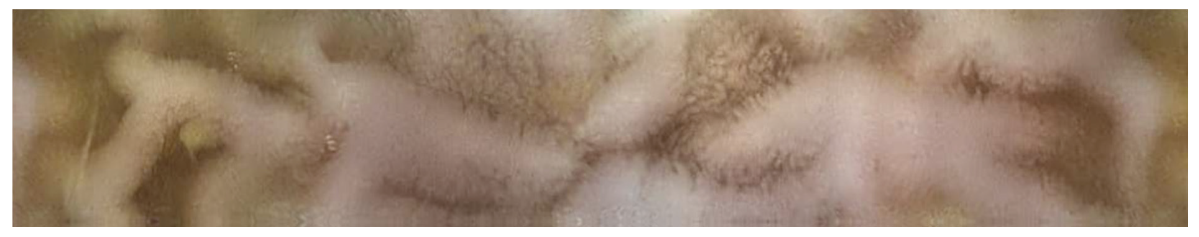 Molecules 26 02160 g004