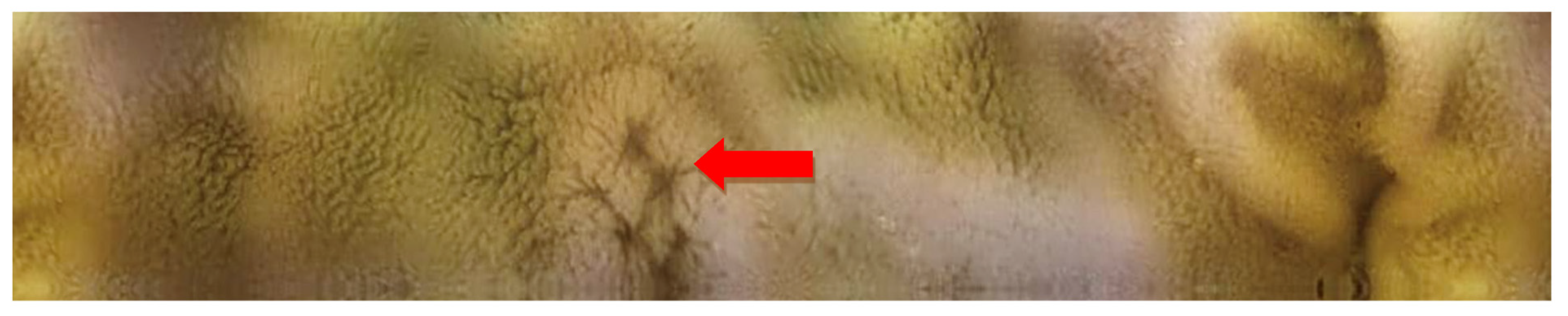 Molecules 26 02160 g005