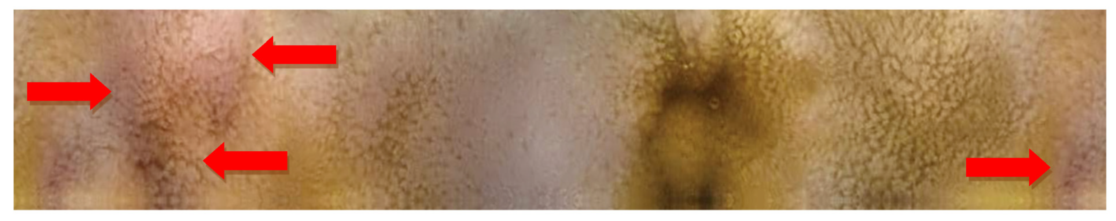 Molecules 26 02160 g006