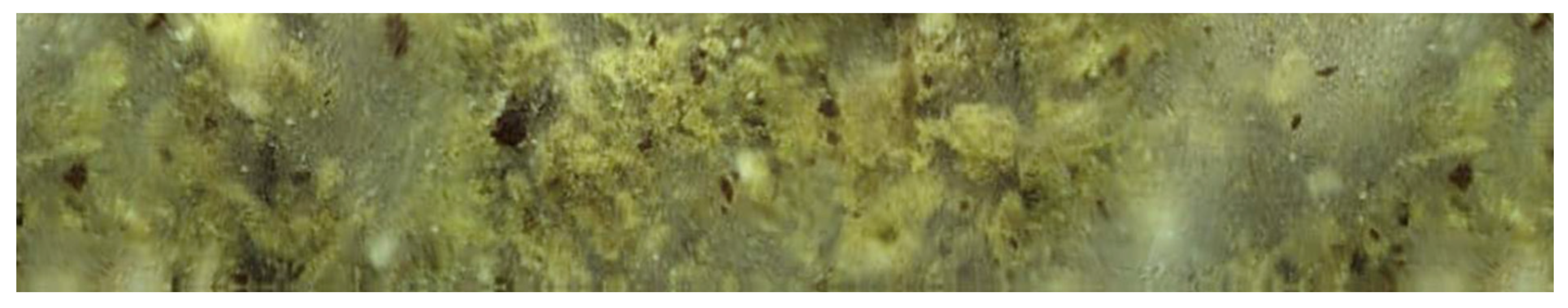 Molecules 26 02160 g007