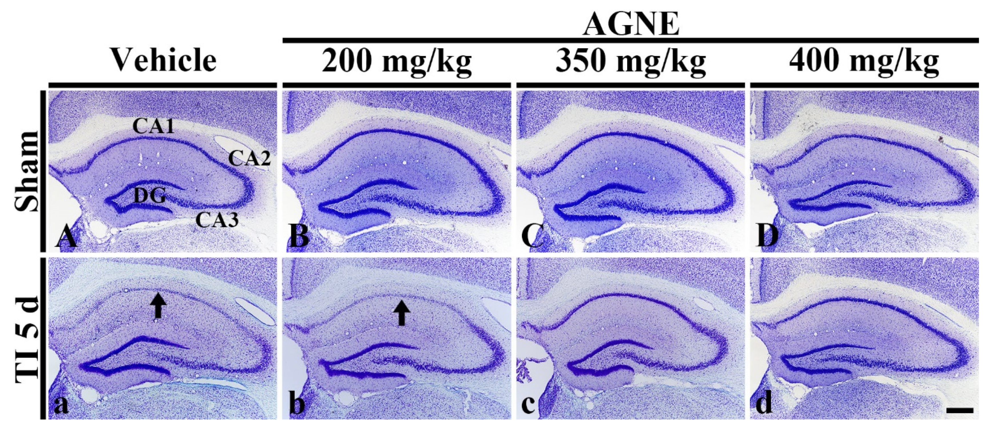 Molecules 26 02161 g003 Molecules 26 02161 g003