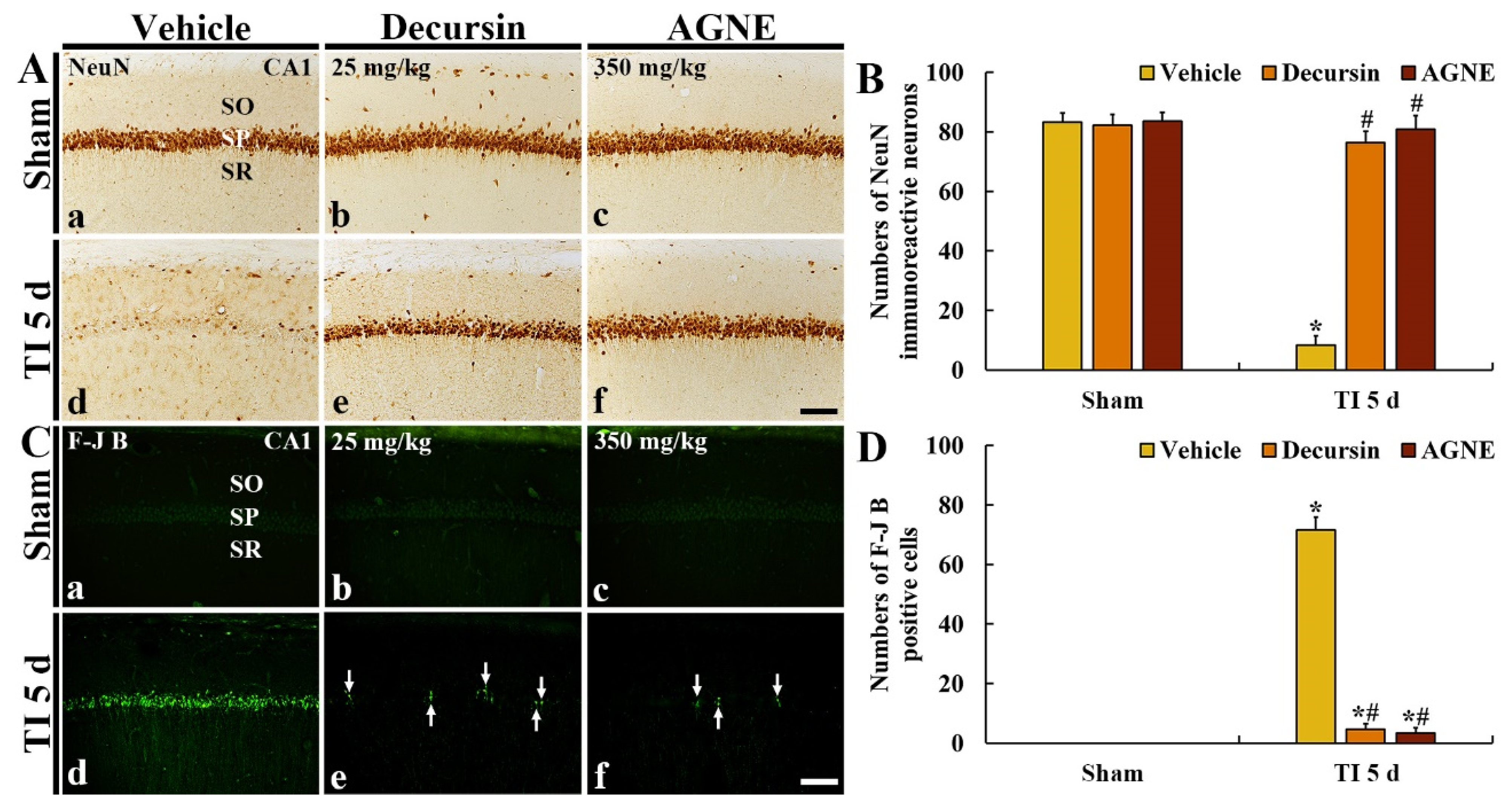 Molecules 26 02161 g005 Molecules 26 02161 g005