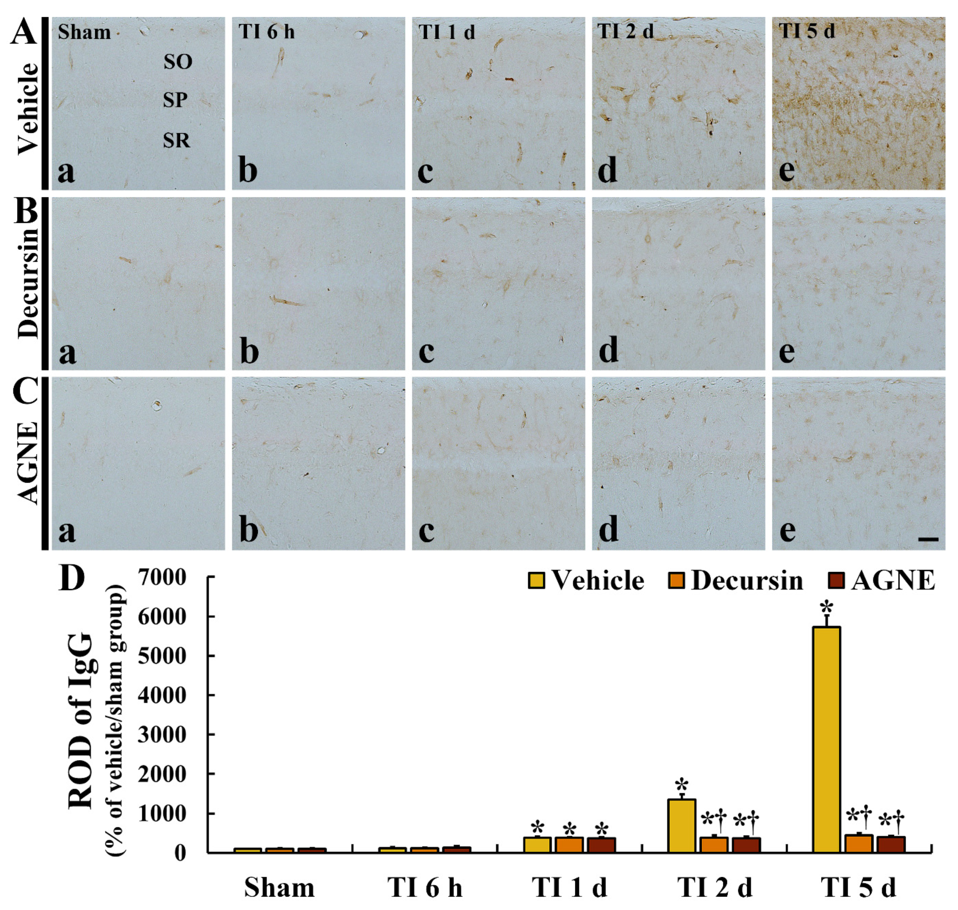 Molecules 26 02161 g006 Molecules 26 02161 g006