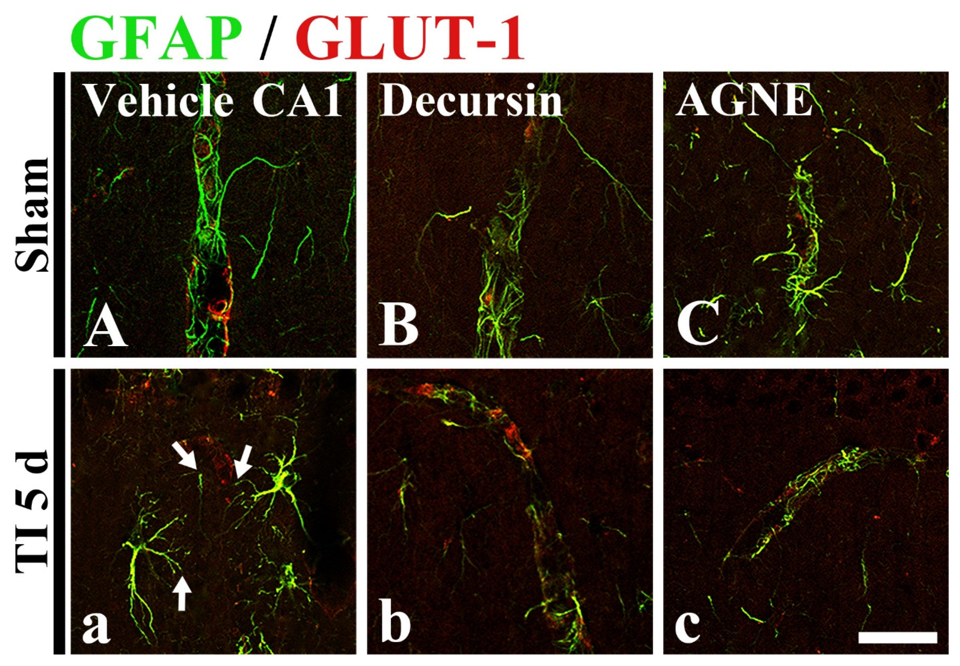 Molecules 26 02161 g007 Molecules 26 02161 g007