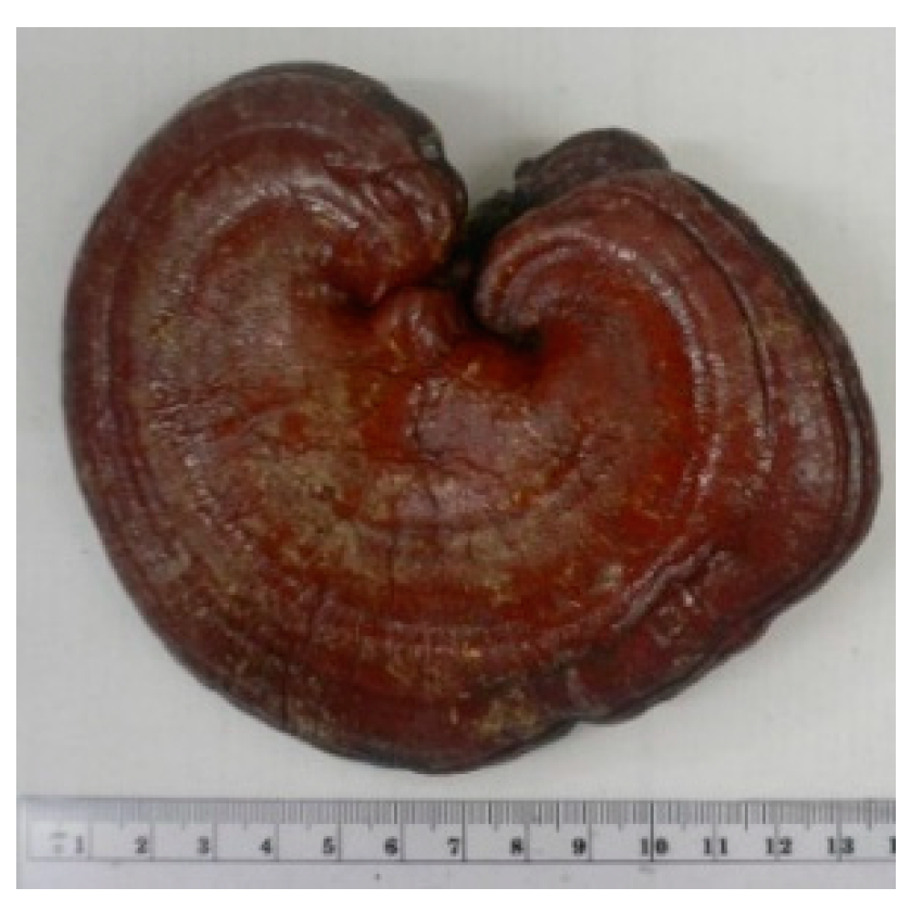 Molecules 26 02173 i002