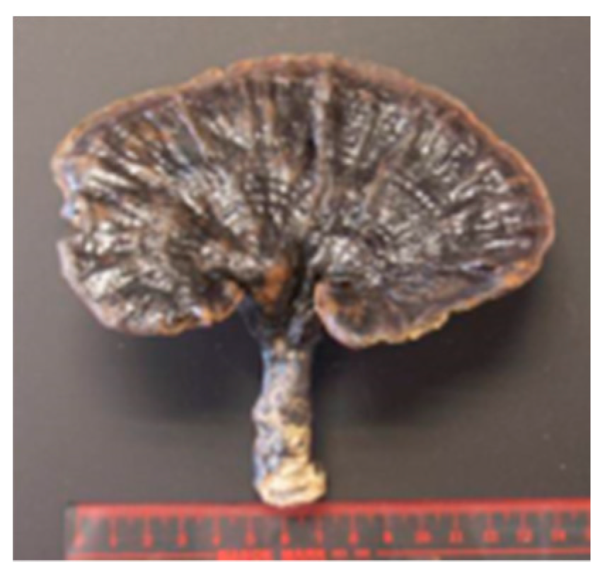 Molecules 26 02173 i003