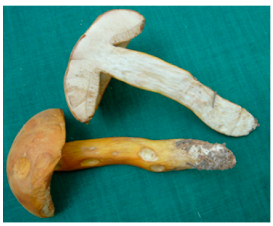 Molecules 26 02173 i004