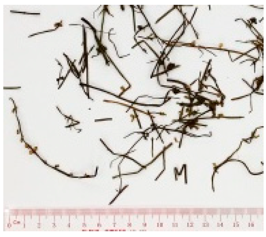 Molecules 26 02173 i009