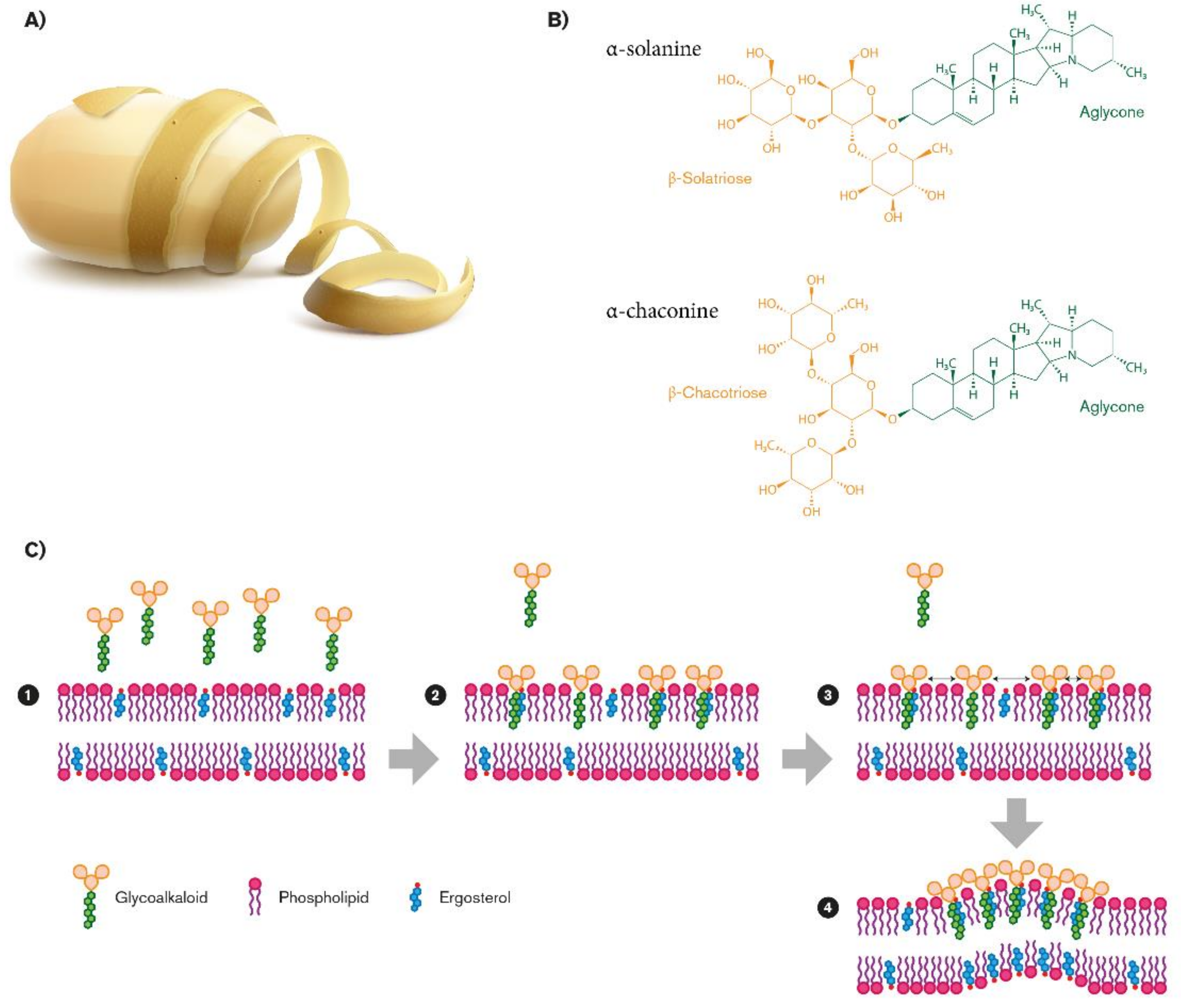 Molecules 26 02174 g001
