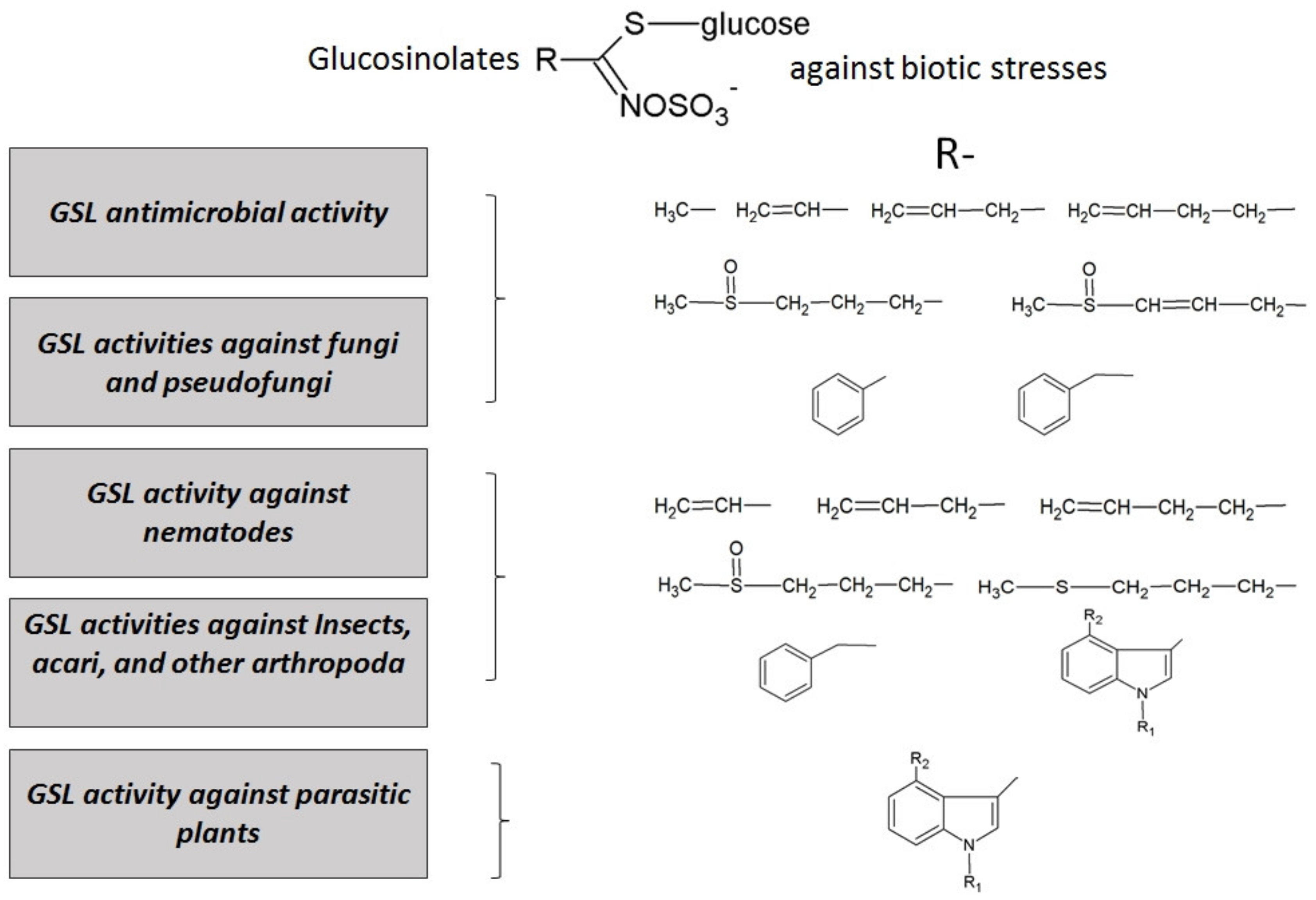 Molecules 26 02174 g004