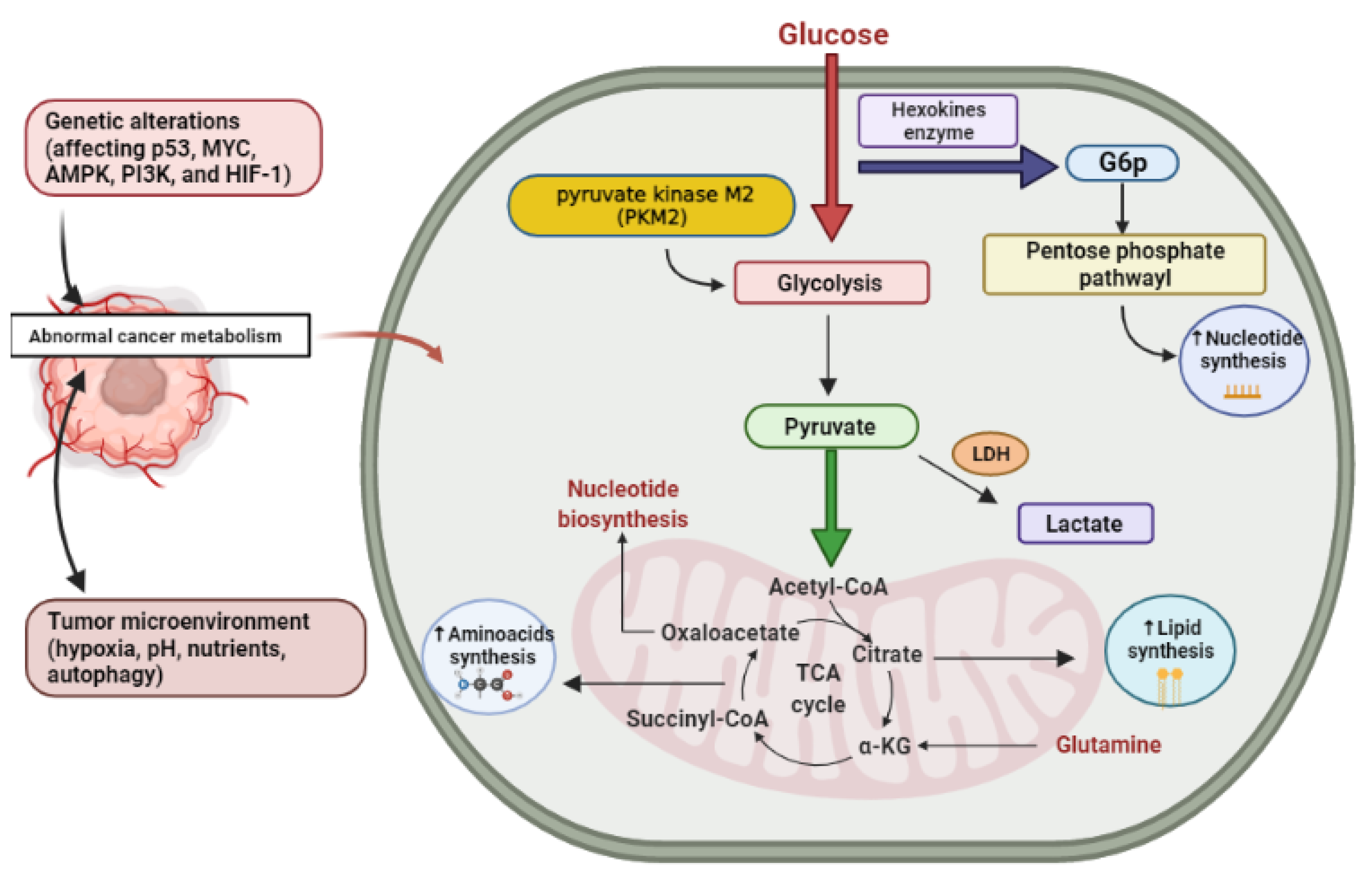 Molecules 26 02179 g001 Molecules 26 02179 g001