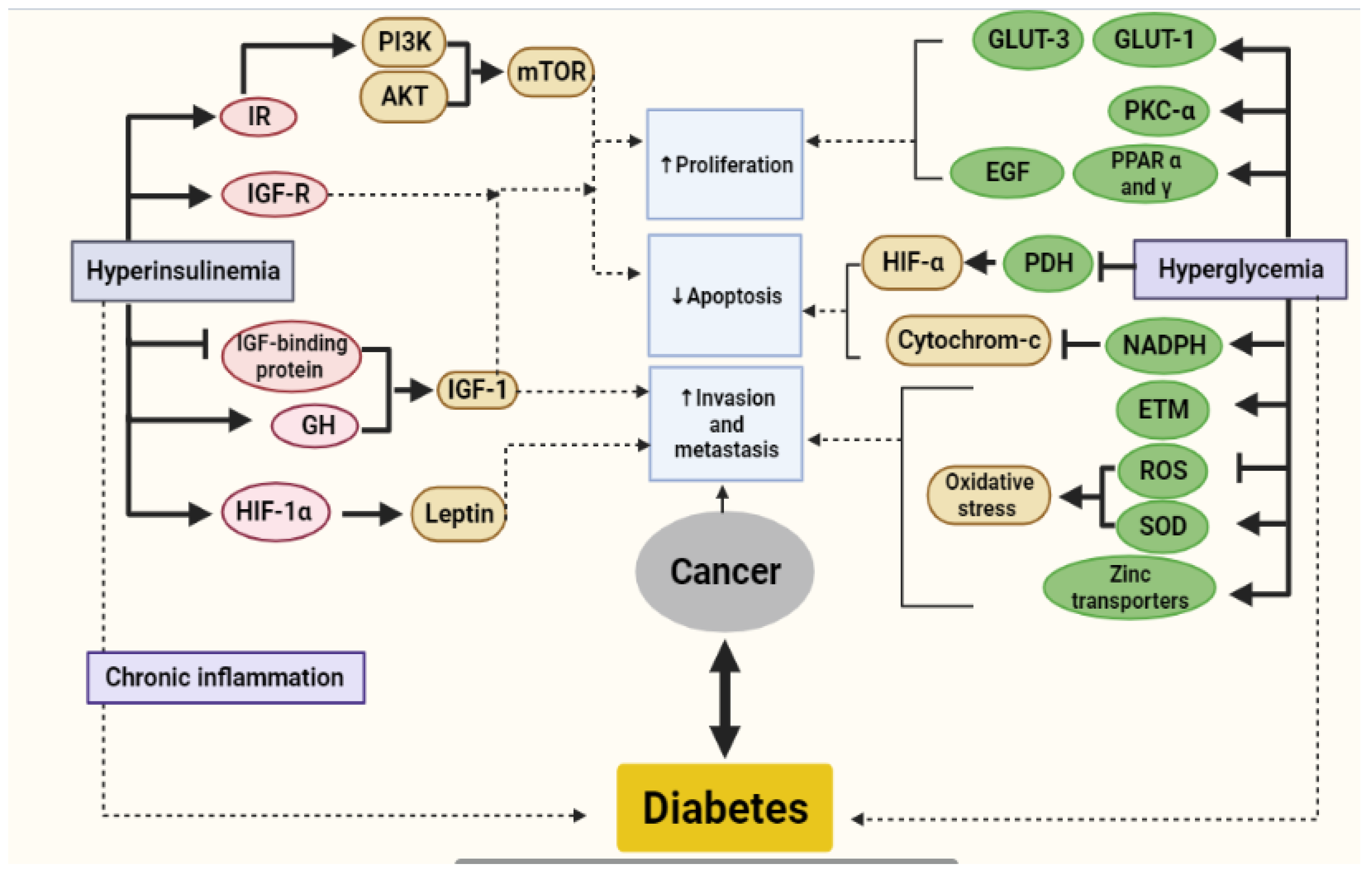 Molecules 26 02179 g002 Molecules 26 02179 g002