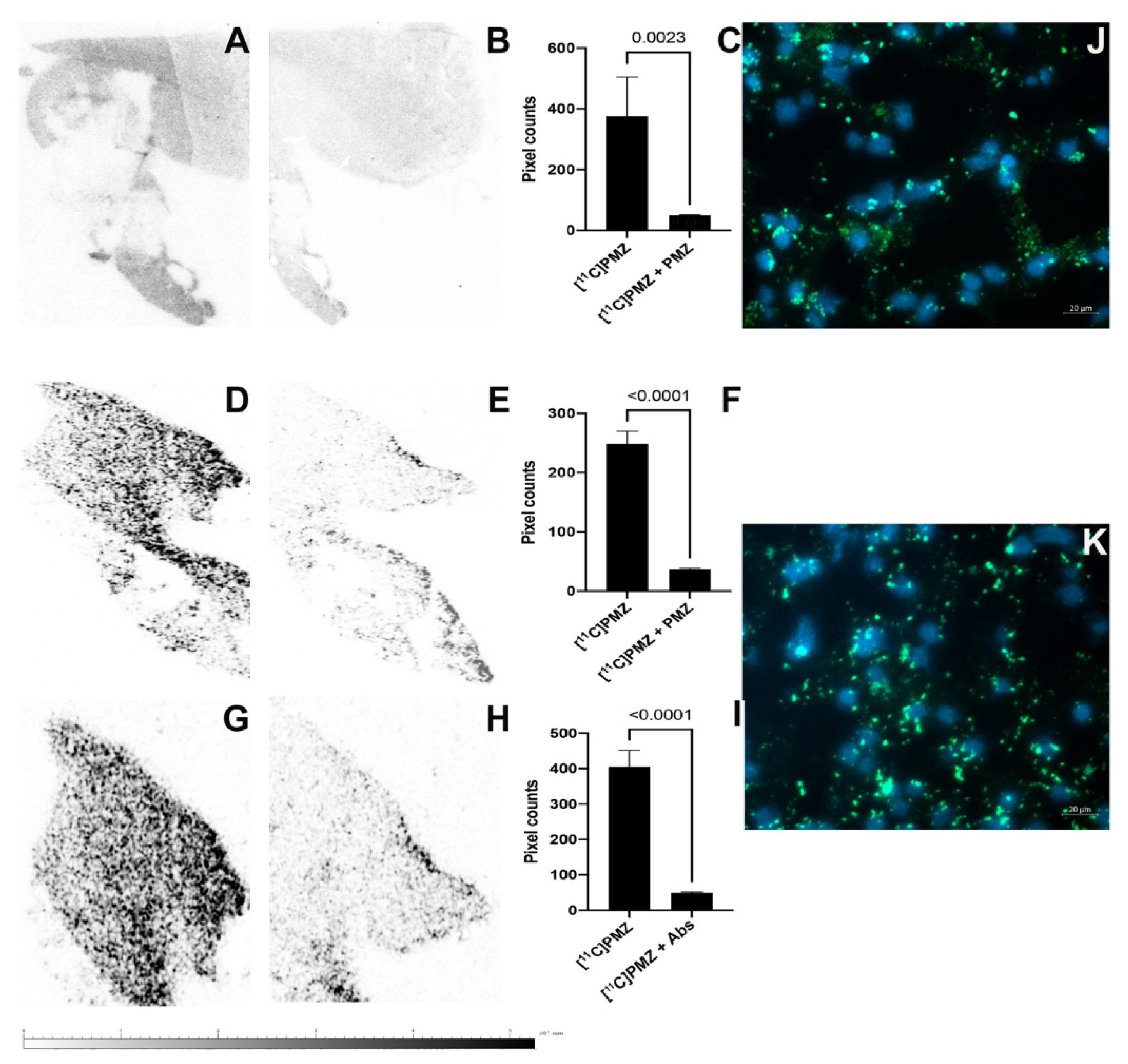 Molecules 26 02182 g002