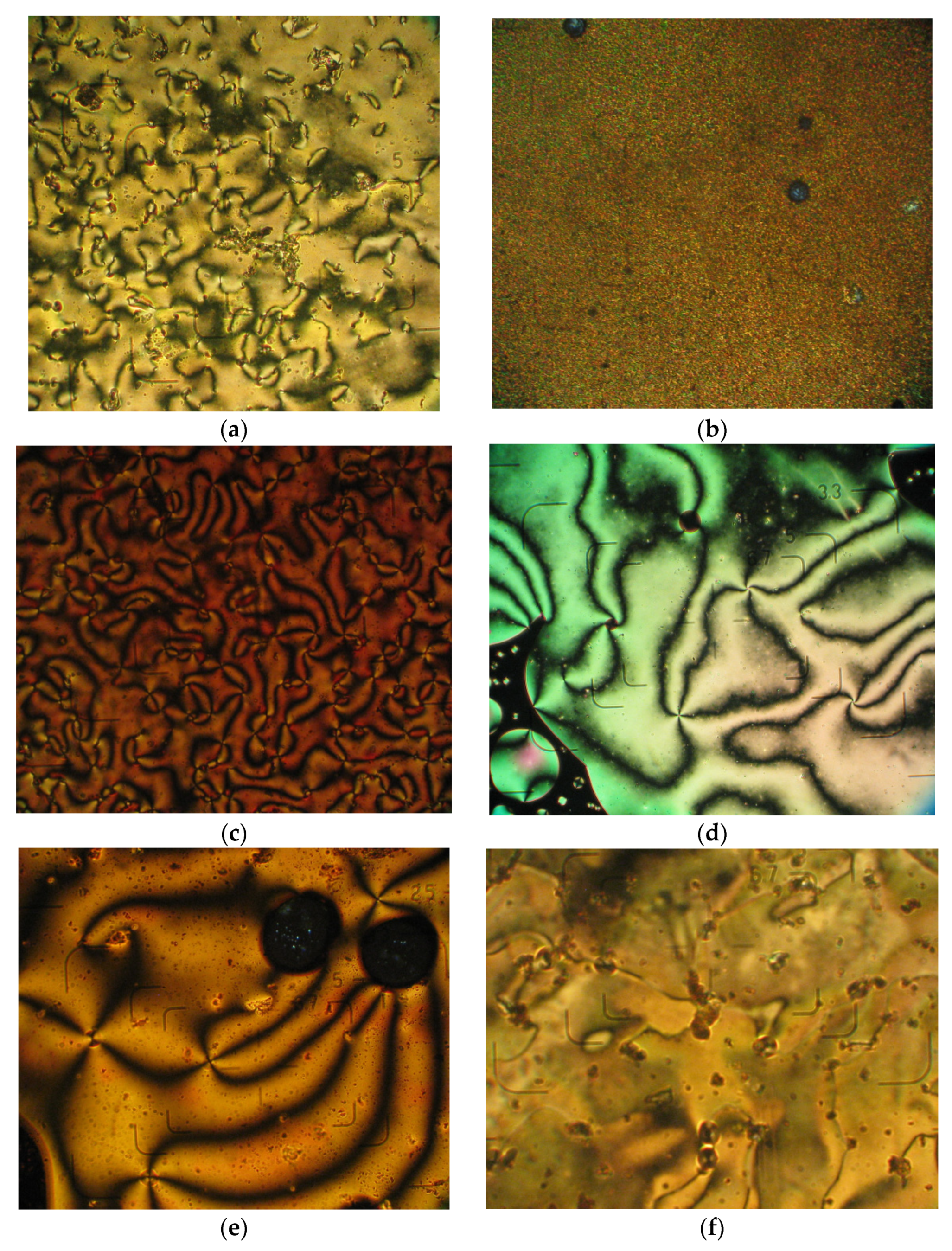 Molecules 26 02183 g003