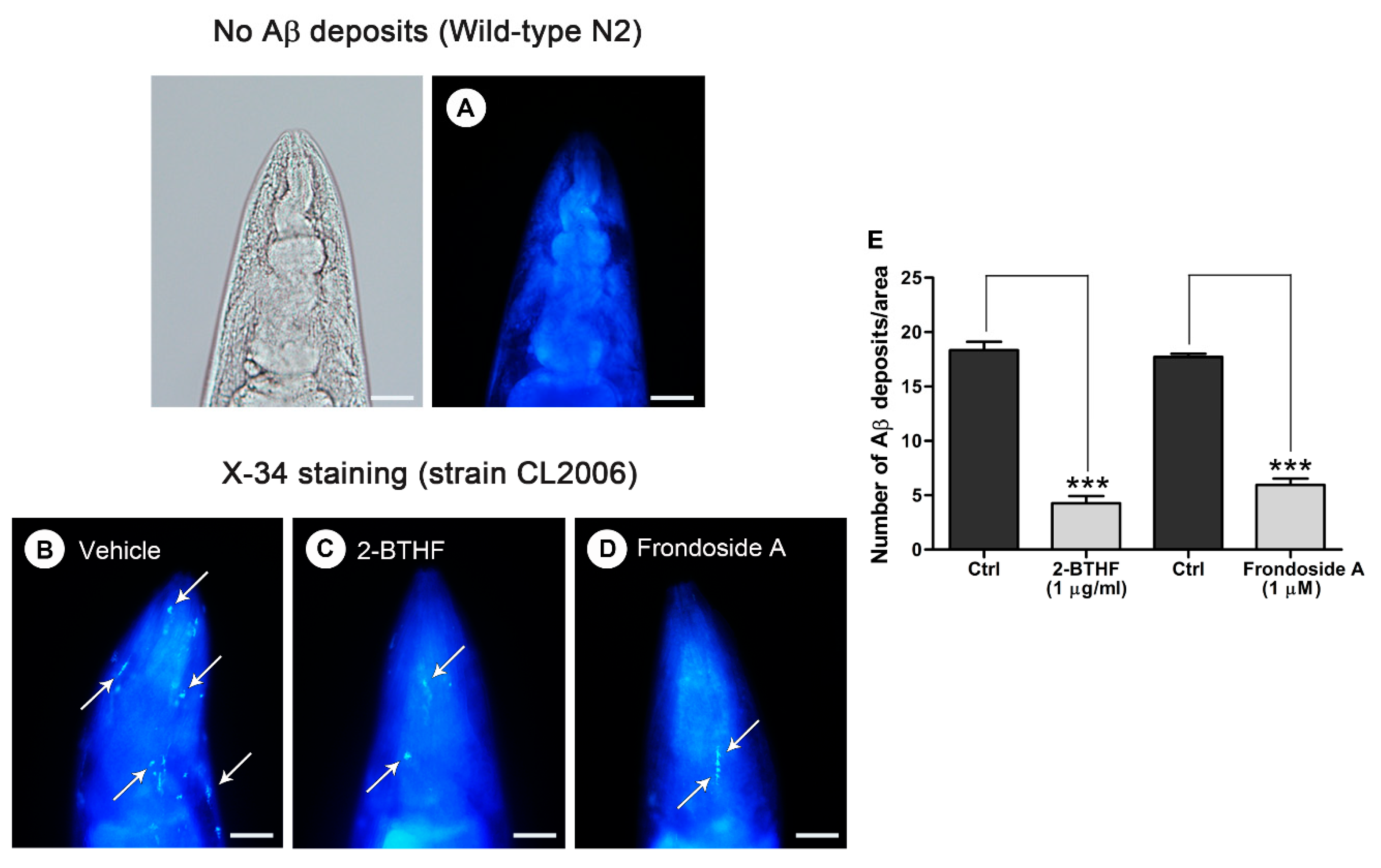 Molecules 26 02195 g004