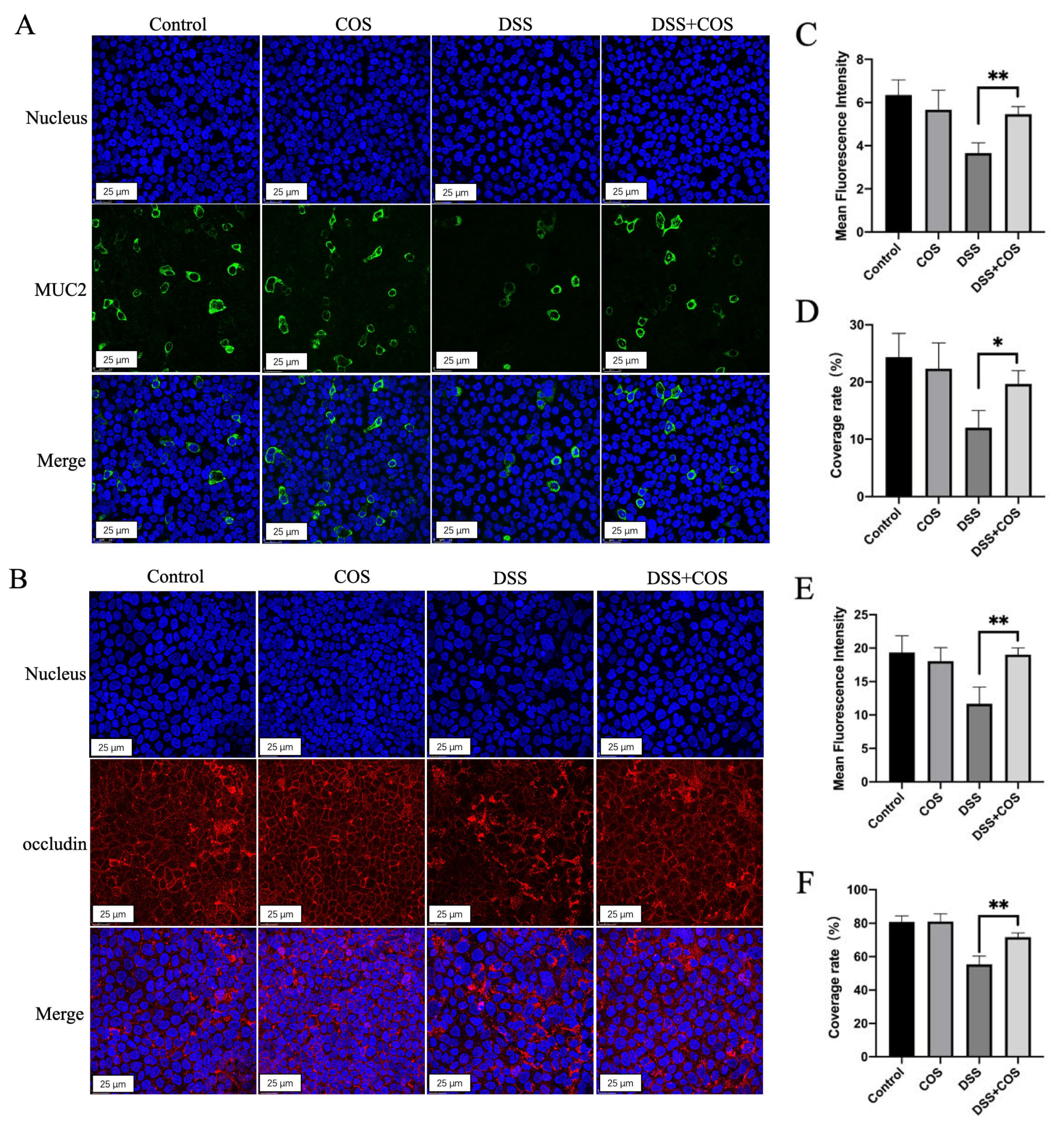 Molecules 26 02199 g001