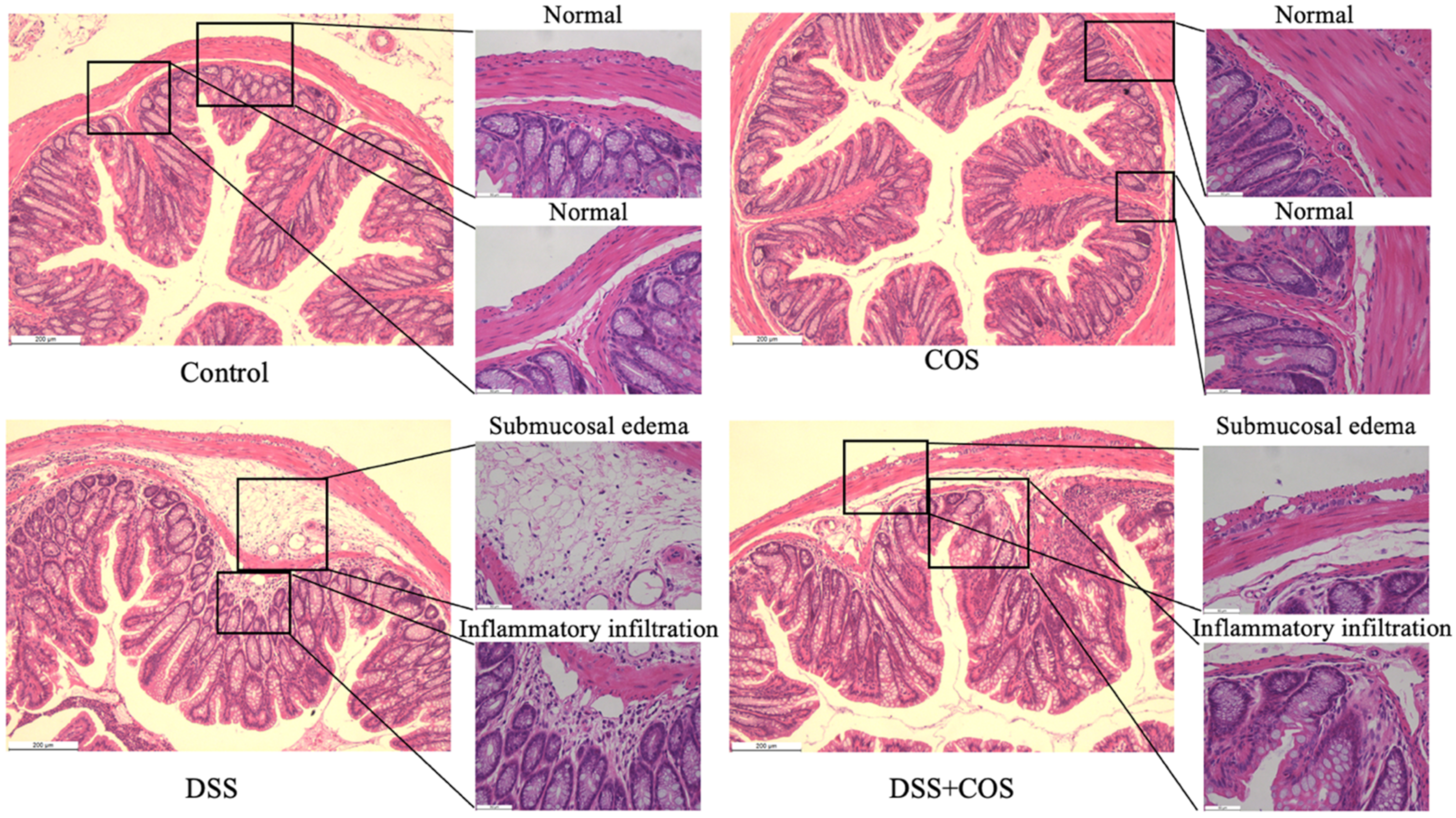 Molecules 26 02199 g006