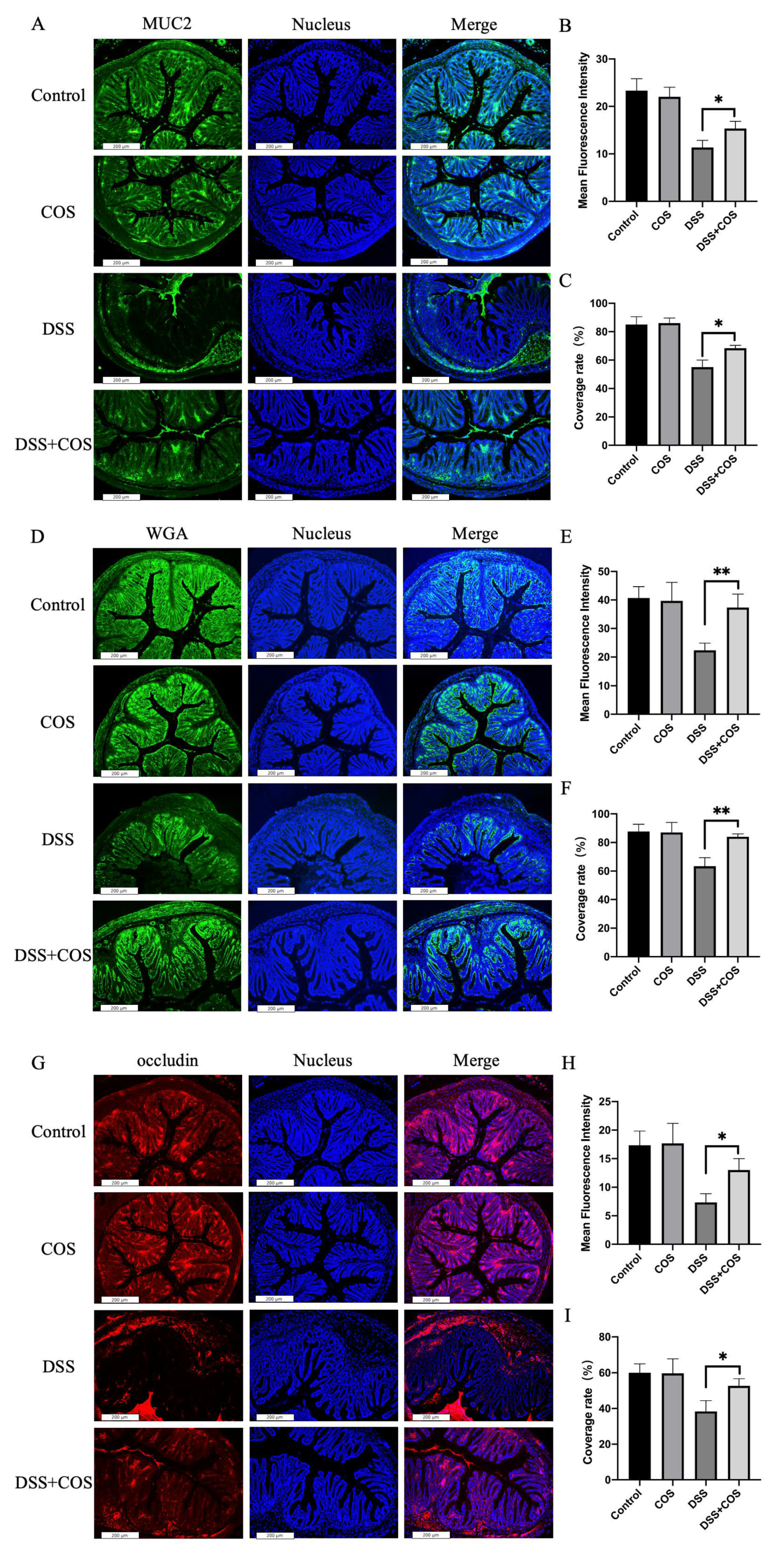 Molecules 26 02199 g007