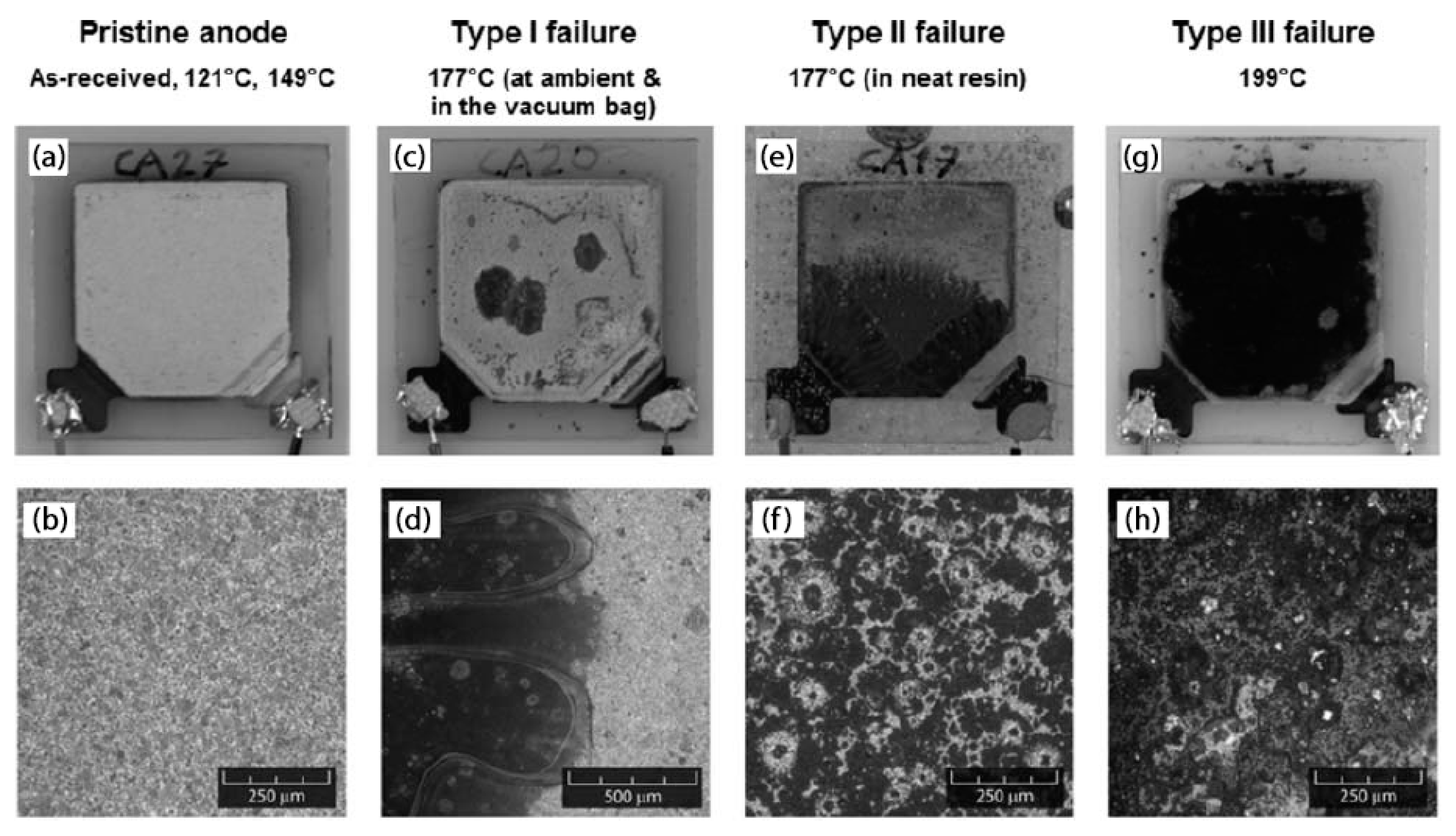 Molecules 26 02203 g006