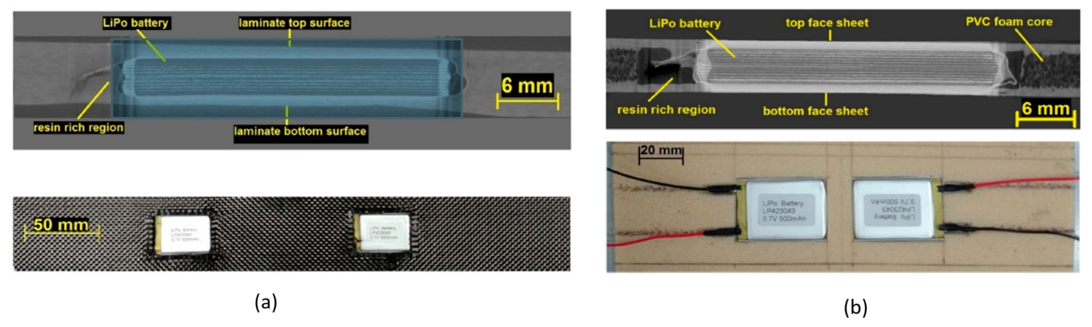 Molecules 26 02203 g012