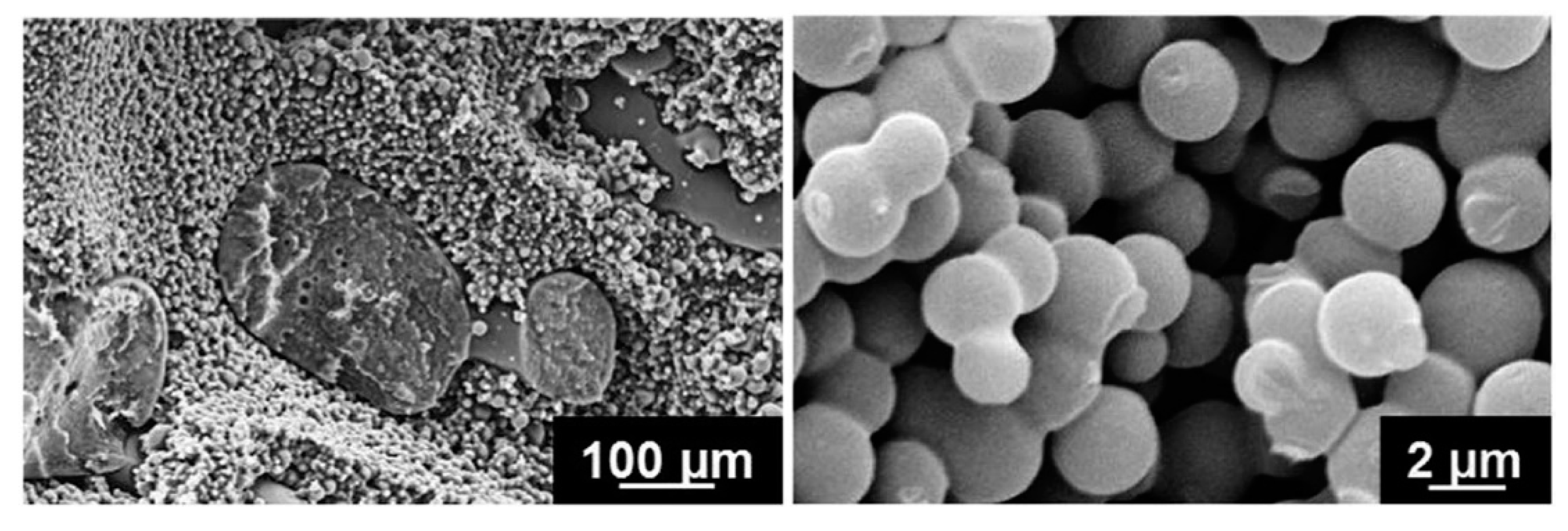 Molecules 26 02203 g020
