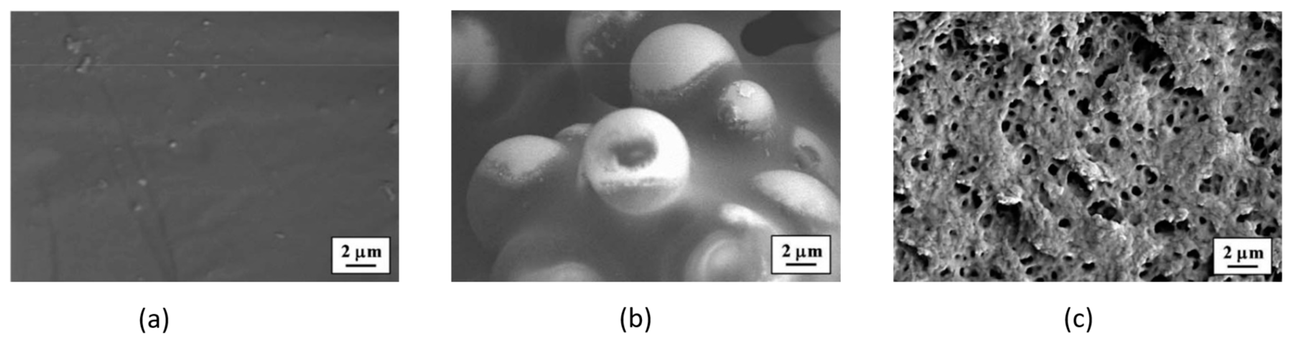 Molecules 26 02203 g023