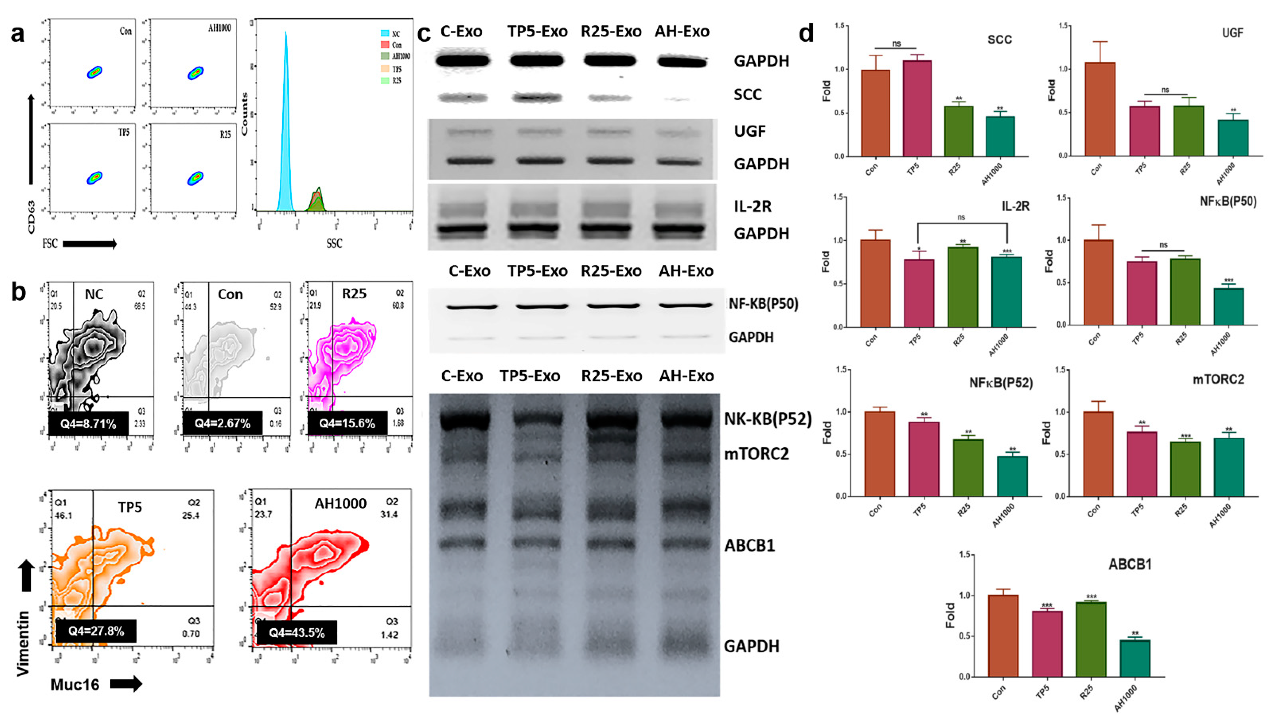Molecules 26 02207 g003