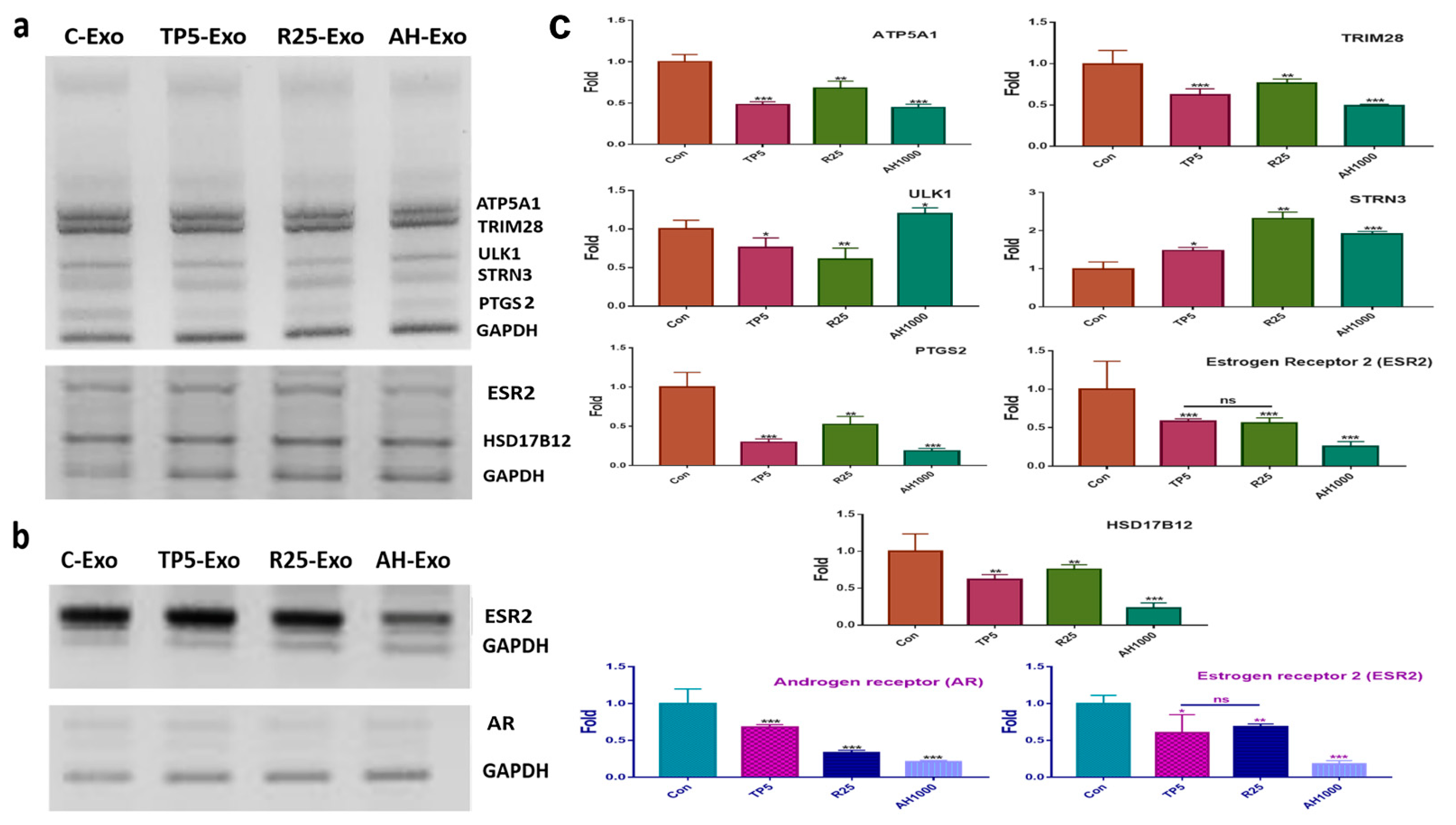 Molecules 26 02207 g004