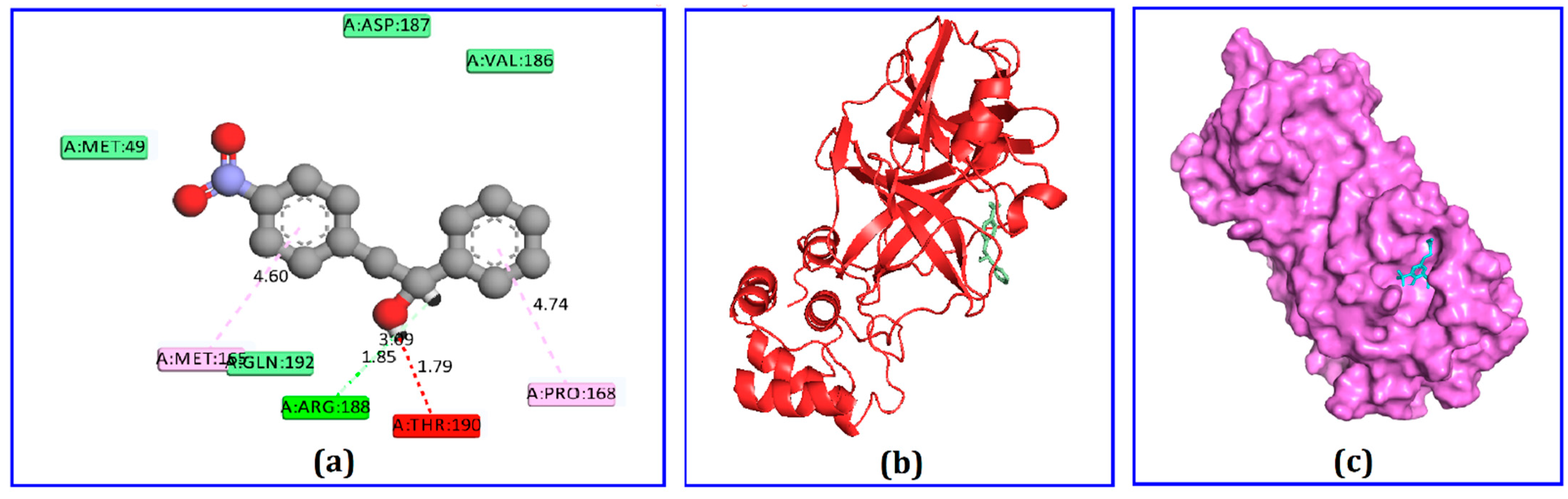 Molecules 26 02210 g004 Molecules 26 02210 g004