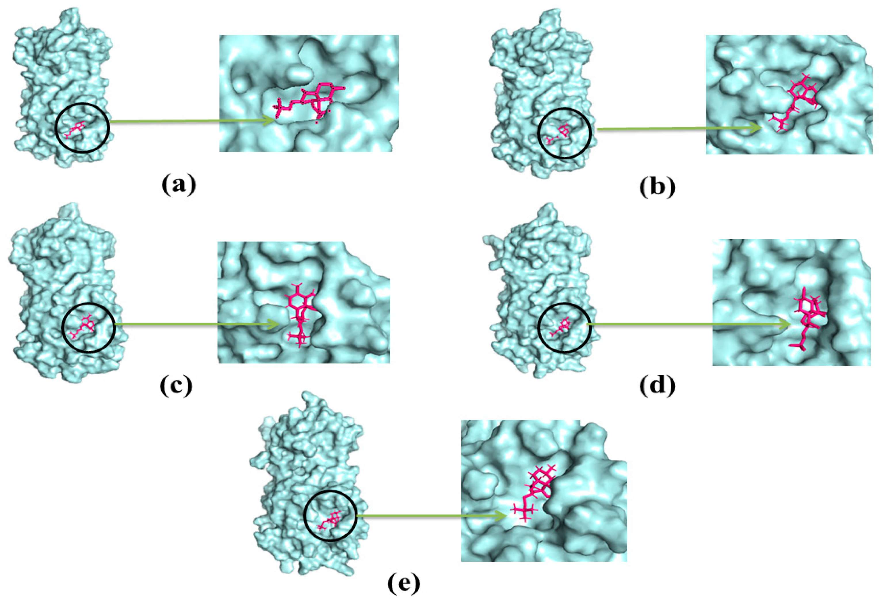 Molecules 26 02210 g009 Molecules 26 02210 g009