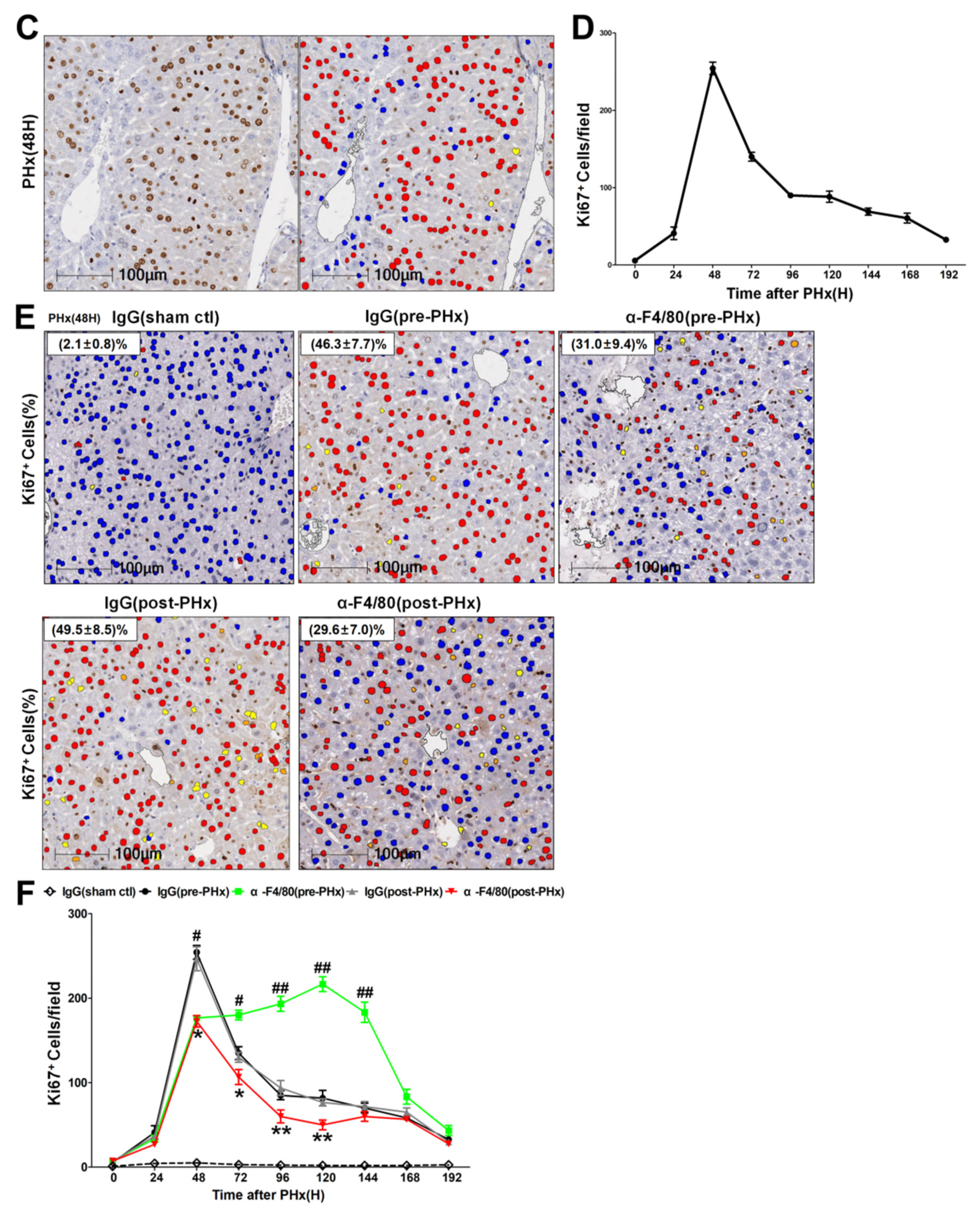 Molecules 26 02231 g002b