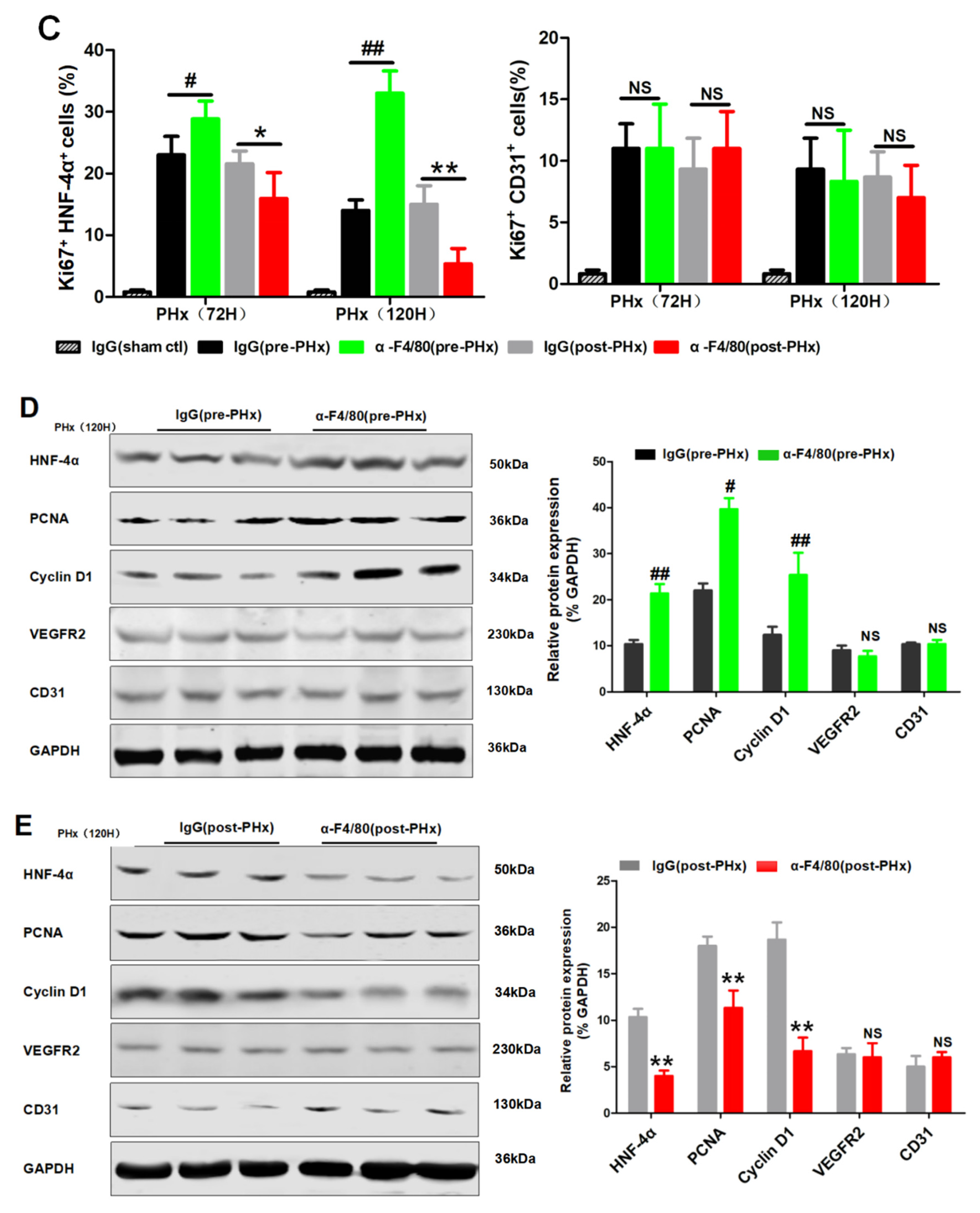 Molecules 26 02231 g003b