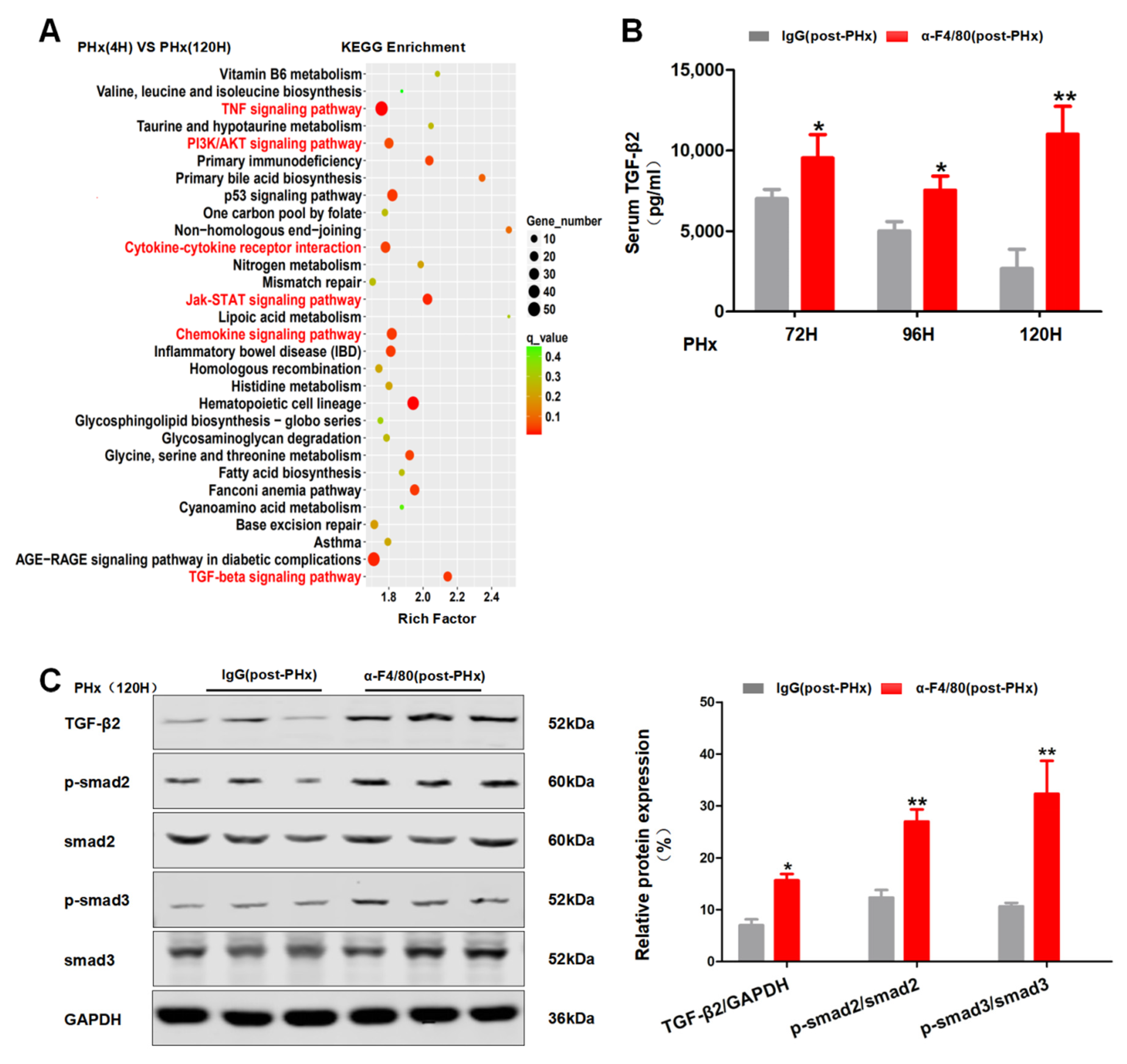 Molecules 26 02231 g006