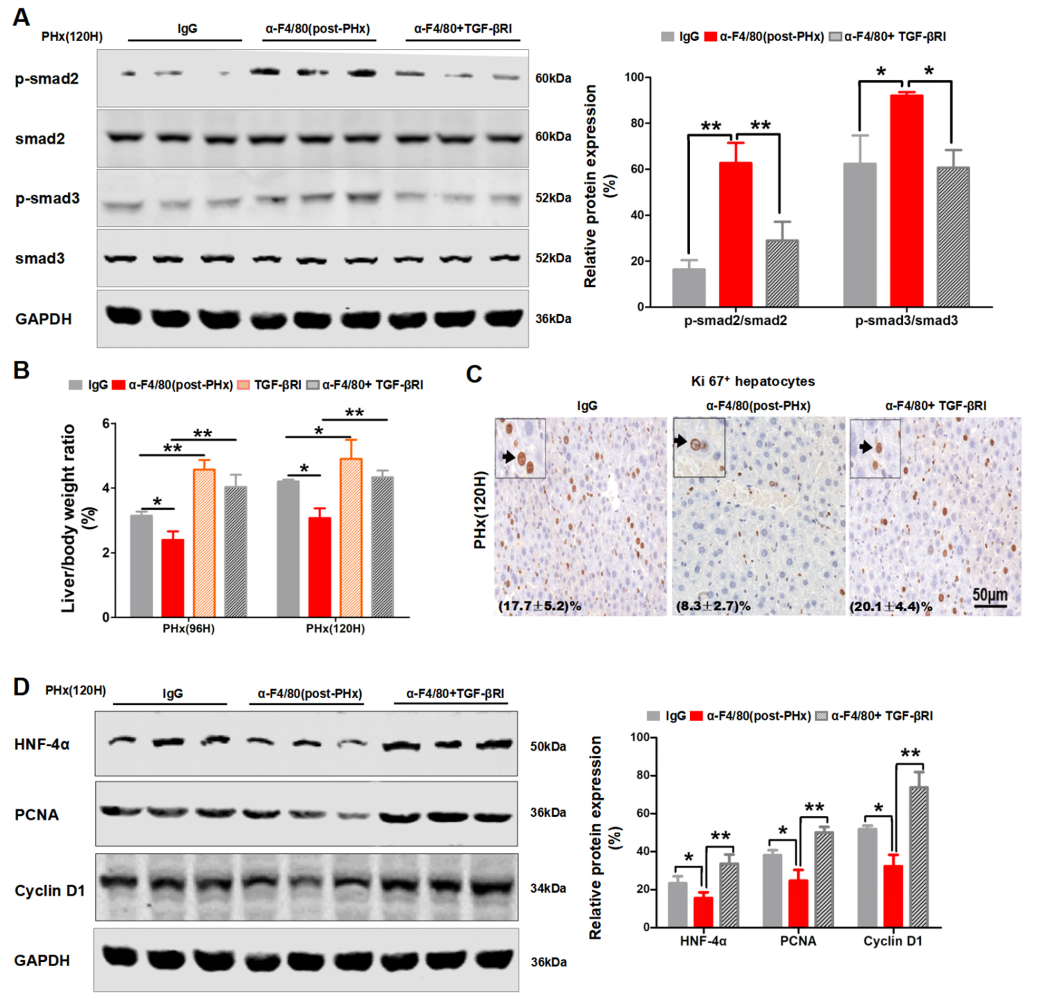 Molecules 26 02231 g007
