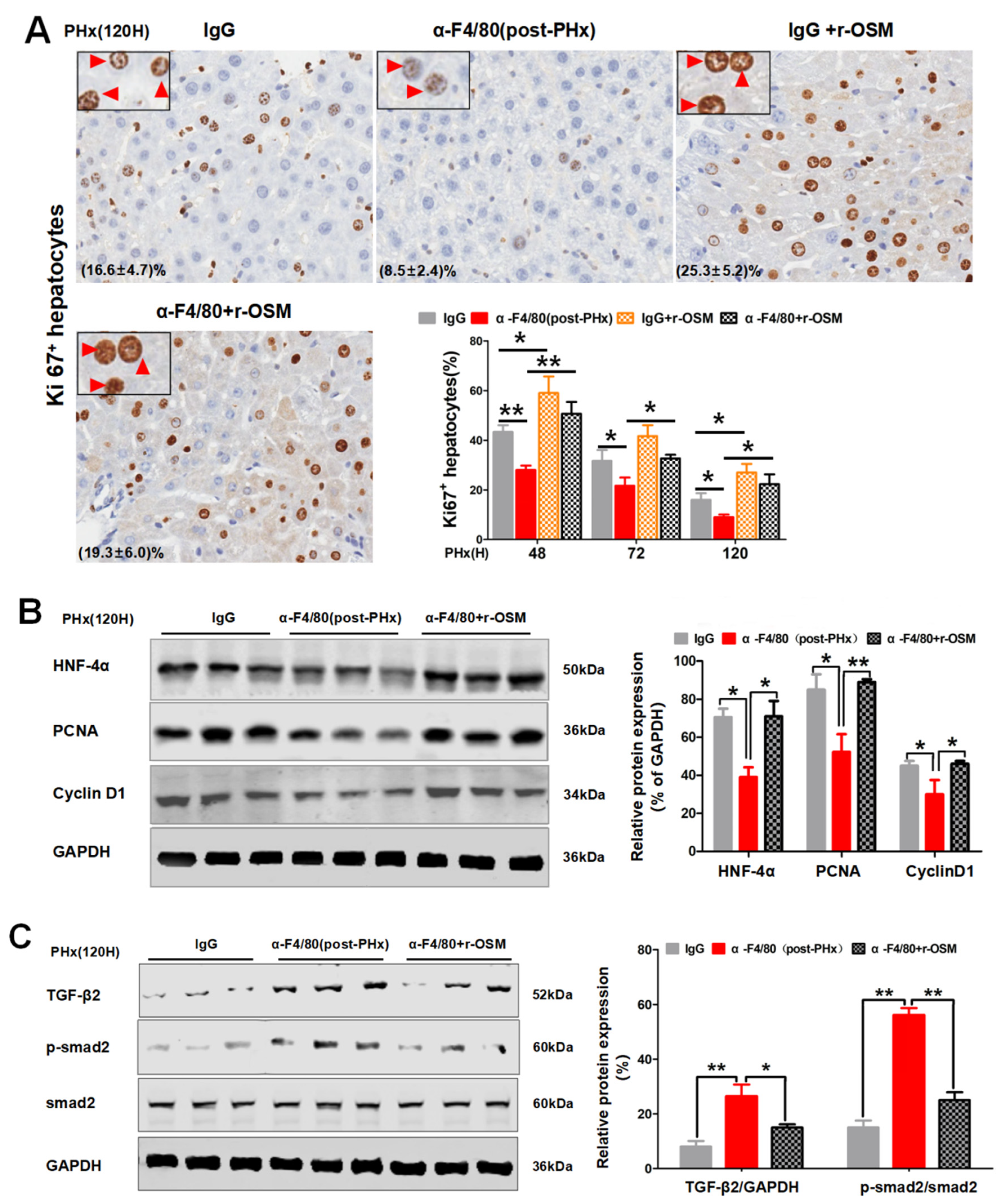 Molecules 26 02231 g010