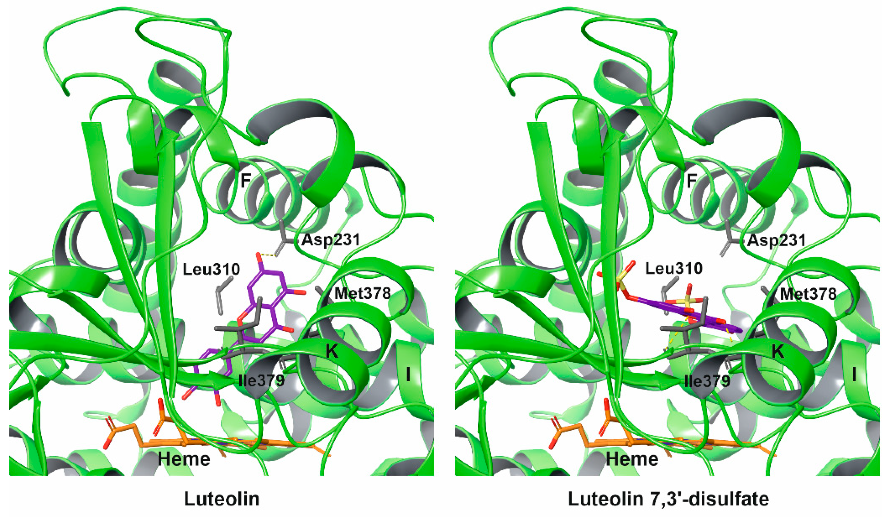 Molecules 26 02237 g004 Molecules 26 02237 g004