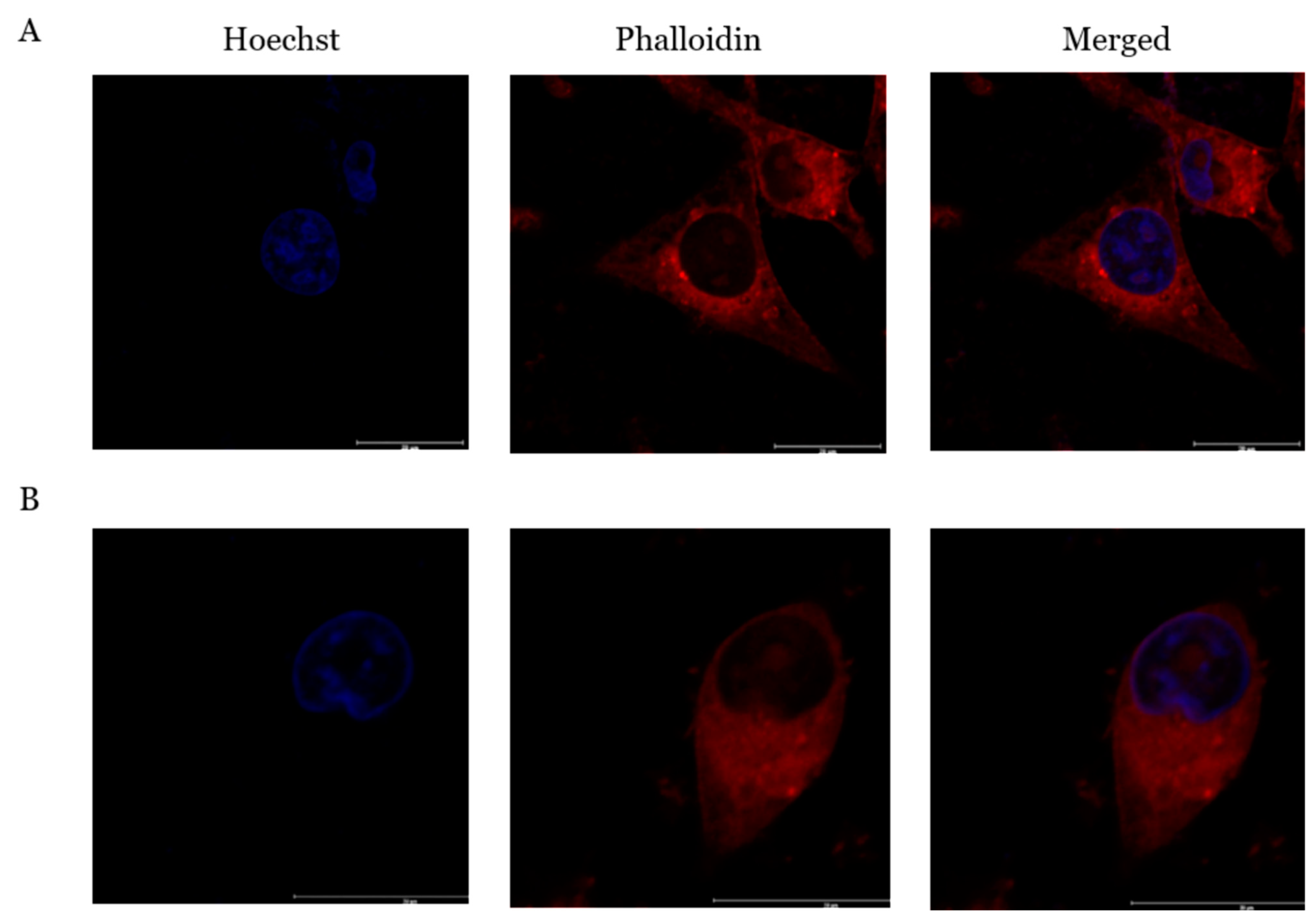 Molecules 26 02239 g007
