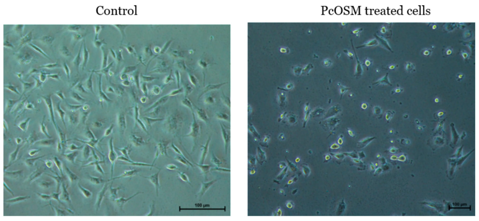 Molecules 26 02239 g009