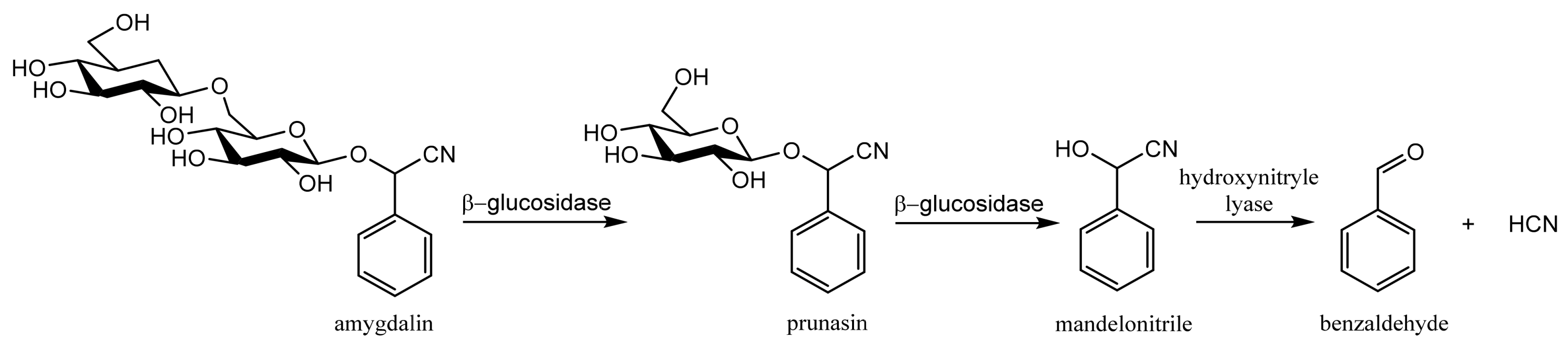 Molecules 26 02253 g002 Molecules 26 02253 g002