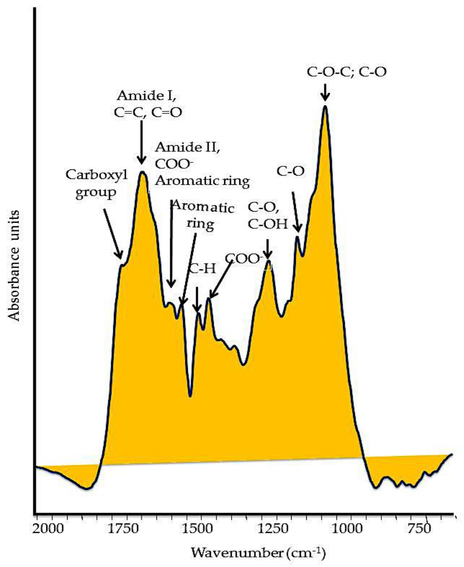 Molecules 26 02256 g002