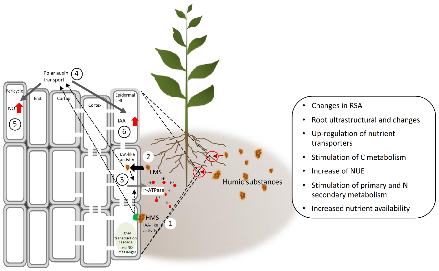 Molecules 26 02256 g008
